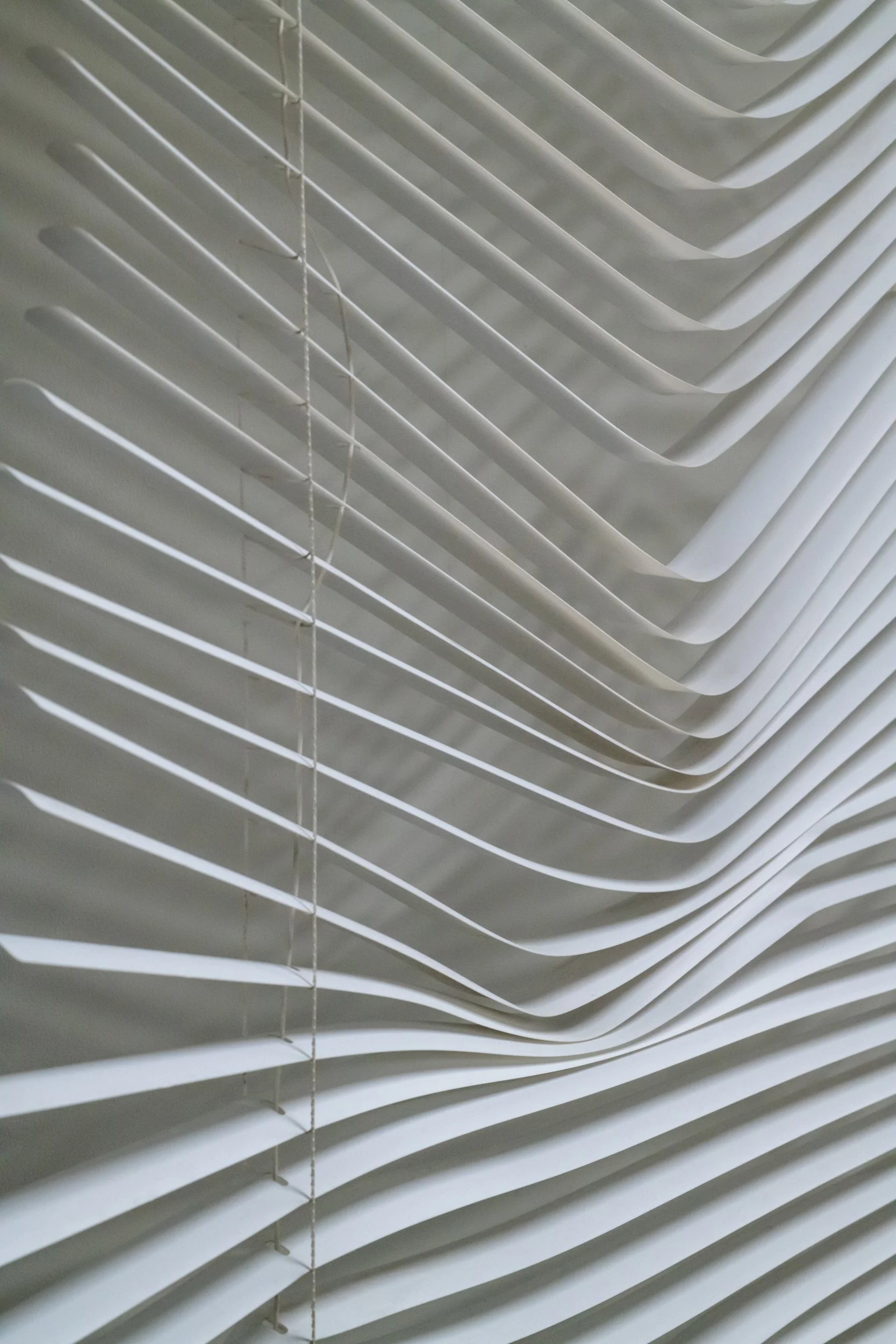 Blinds Detail 2.jpg