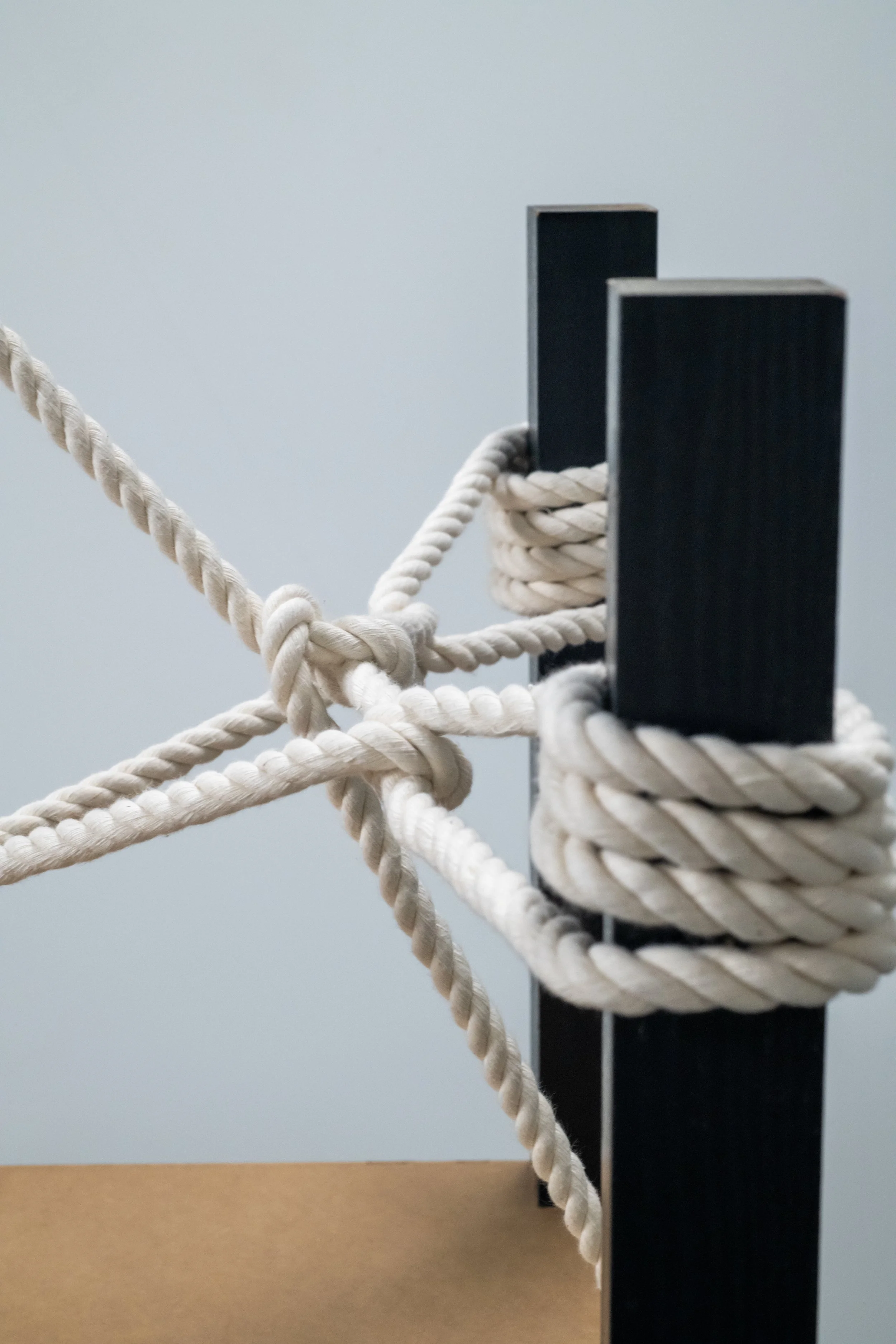 Variation 6 Detail 2.jpg