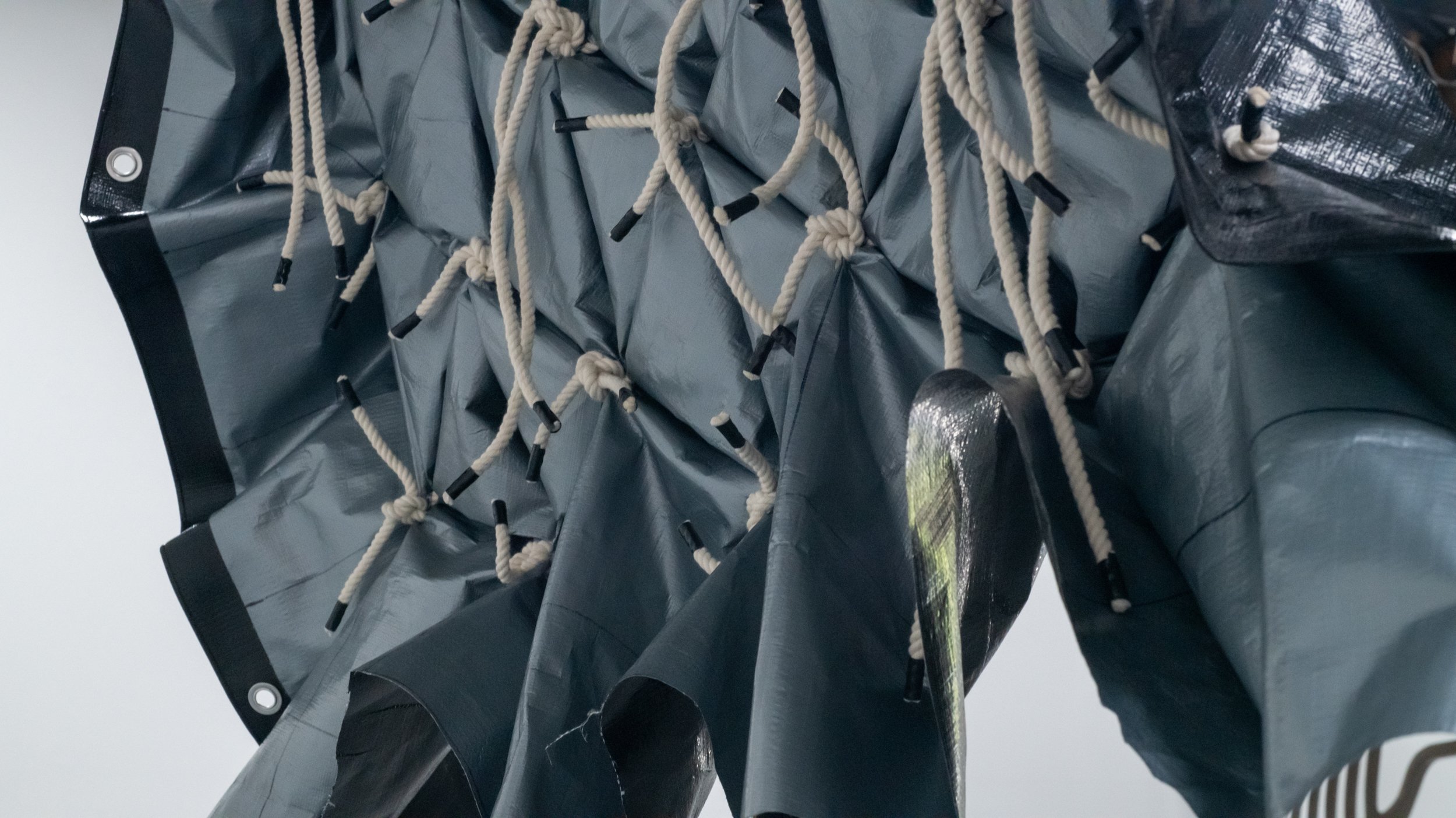 Tarp Detail 3.jpg