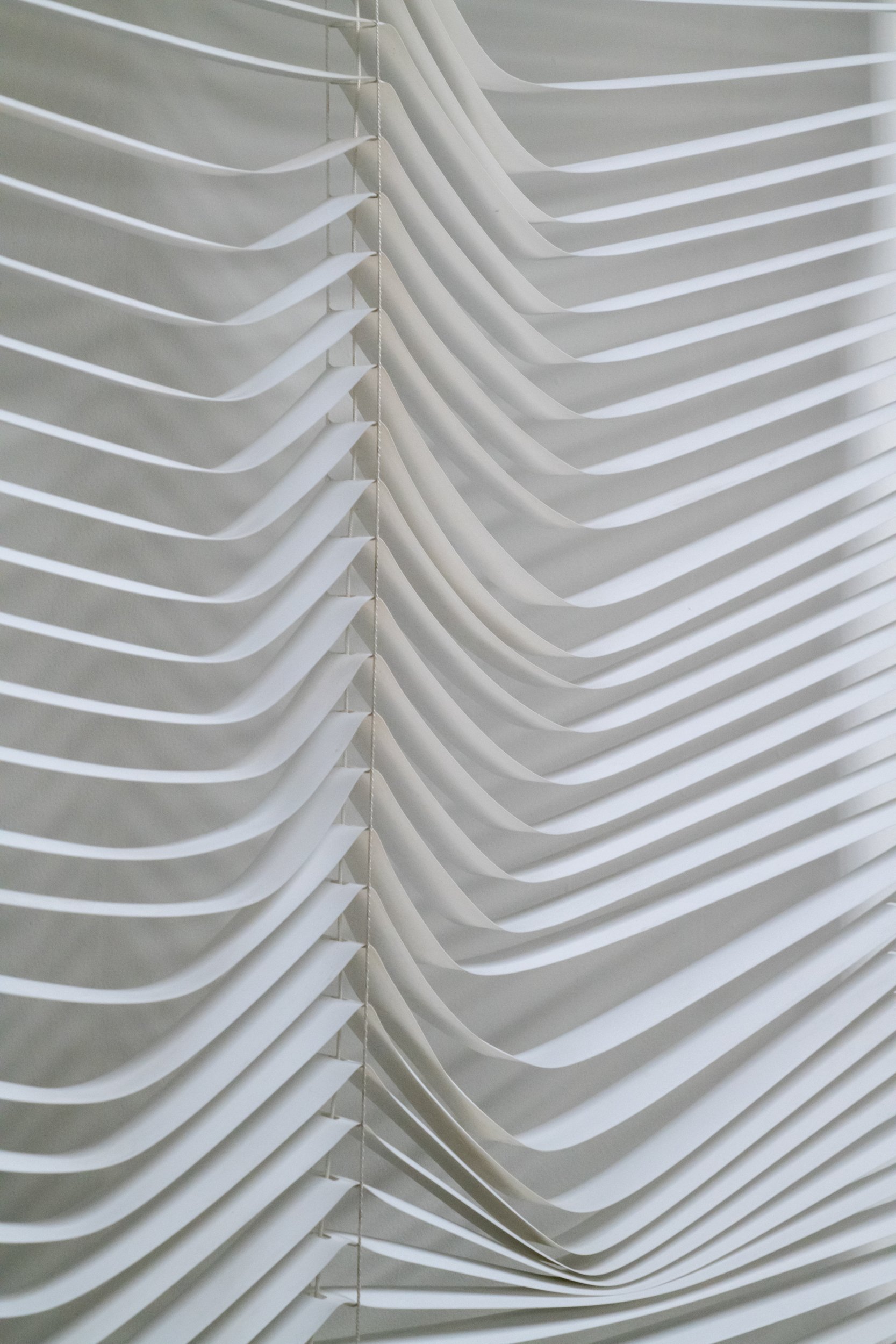 Blinds Detail 1.jpg