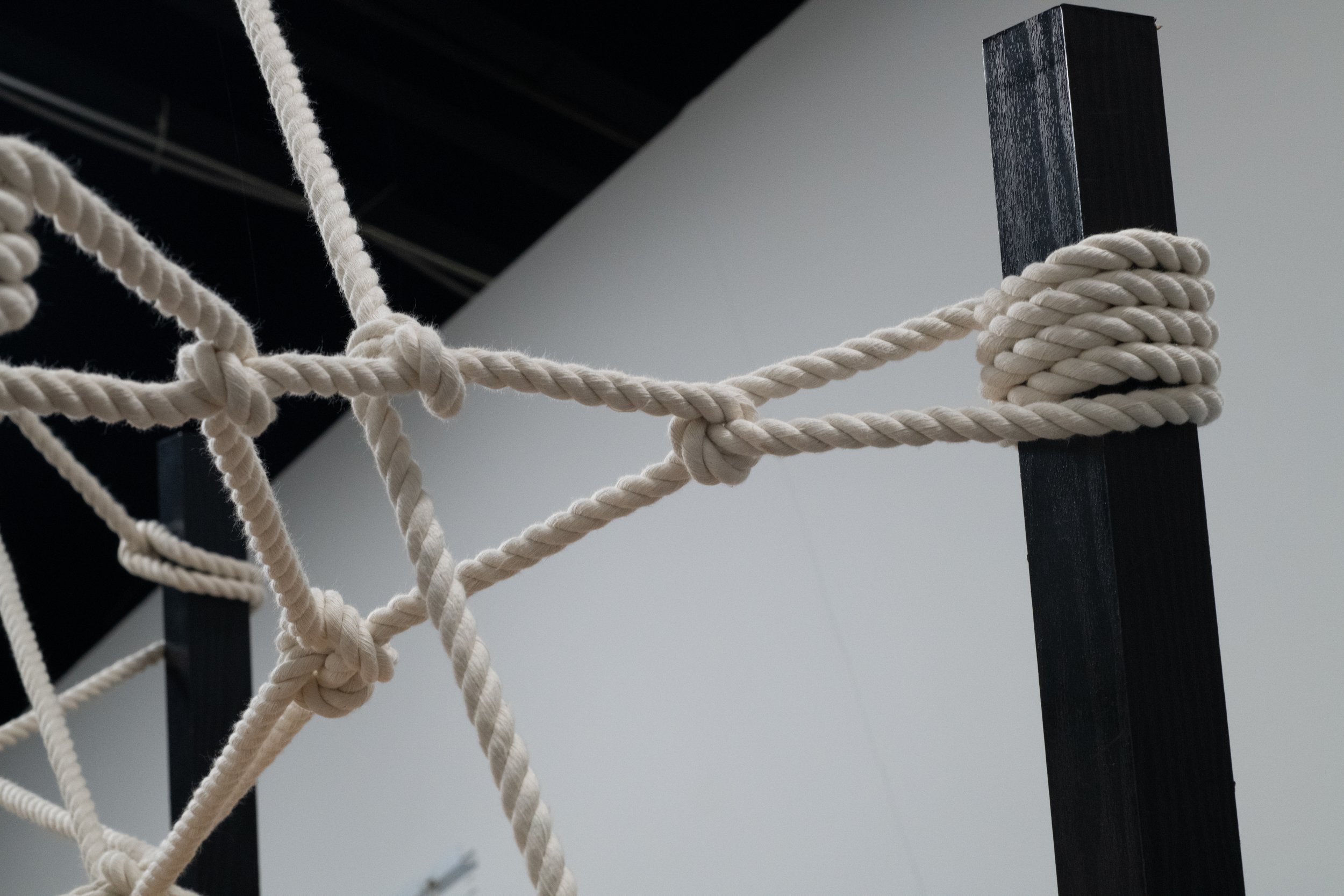 Variation 6 Detail 4.jpg