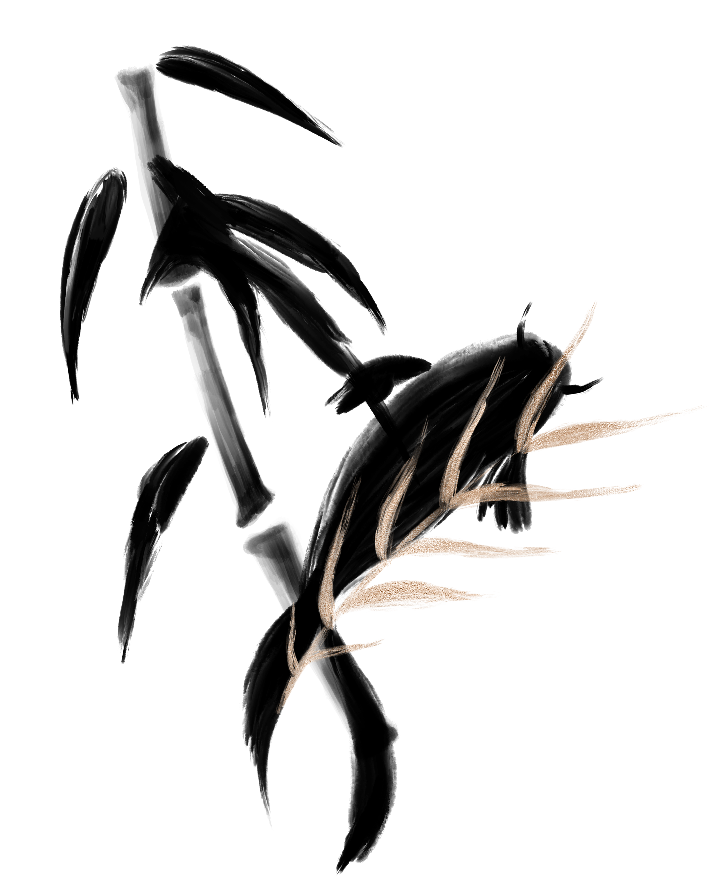 07.png