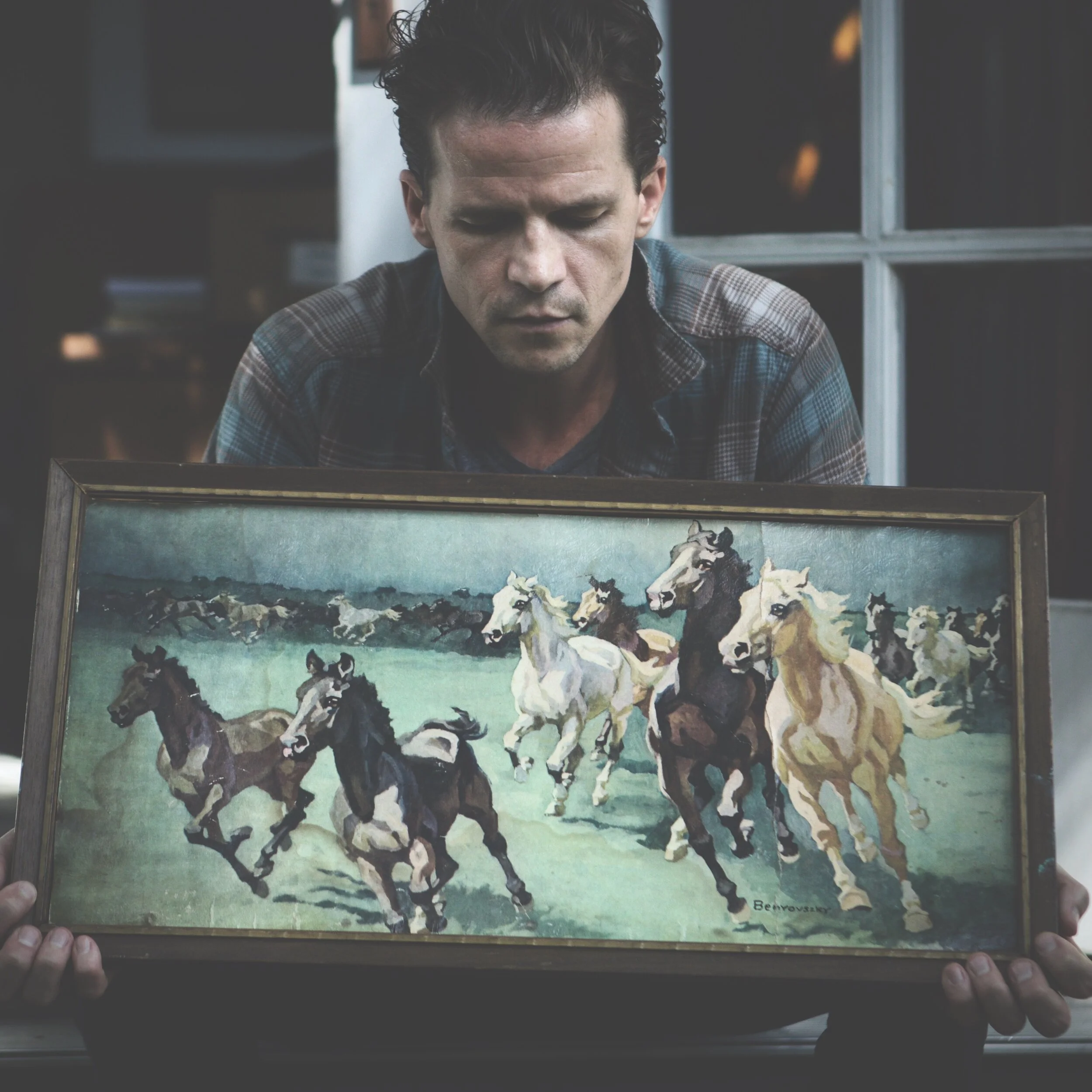 releasing music.  animals in the wild