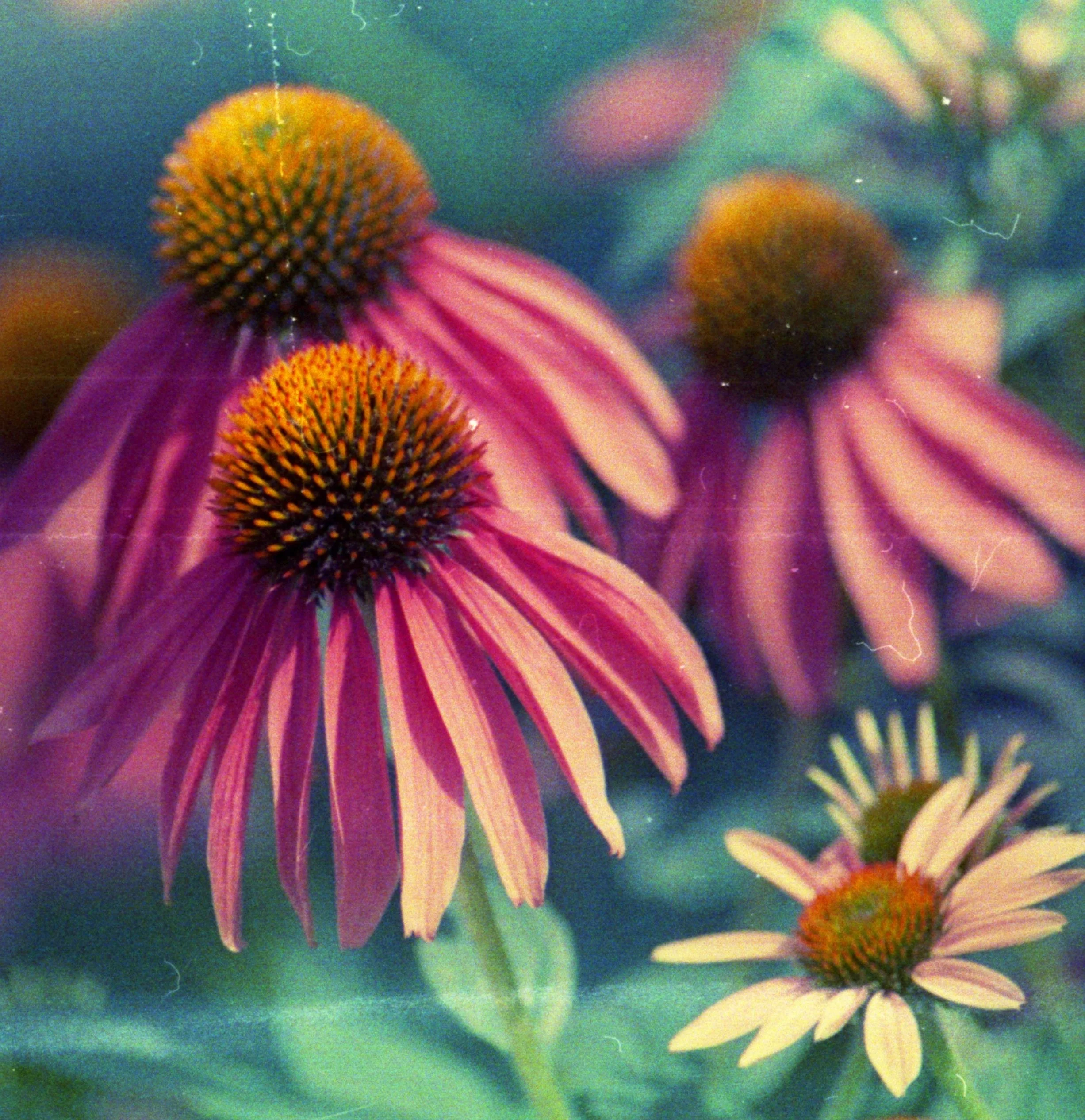 bandcamp bground?.jpeg