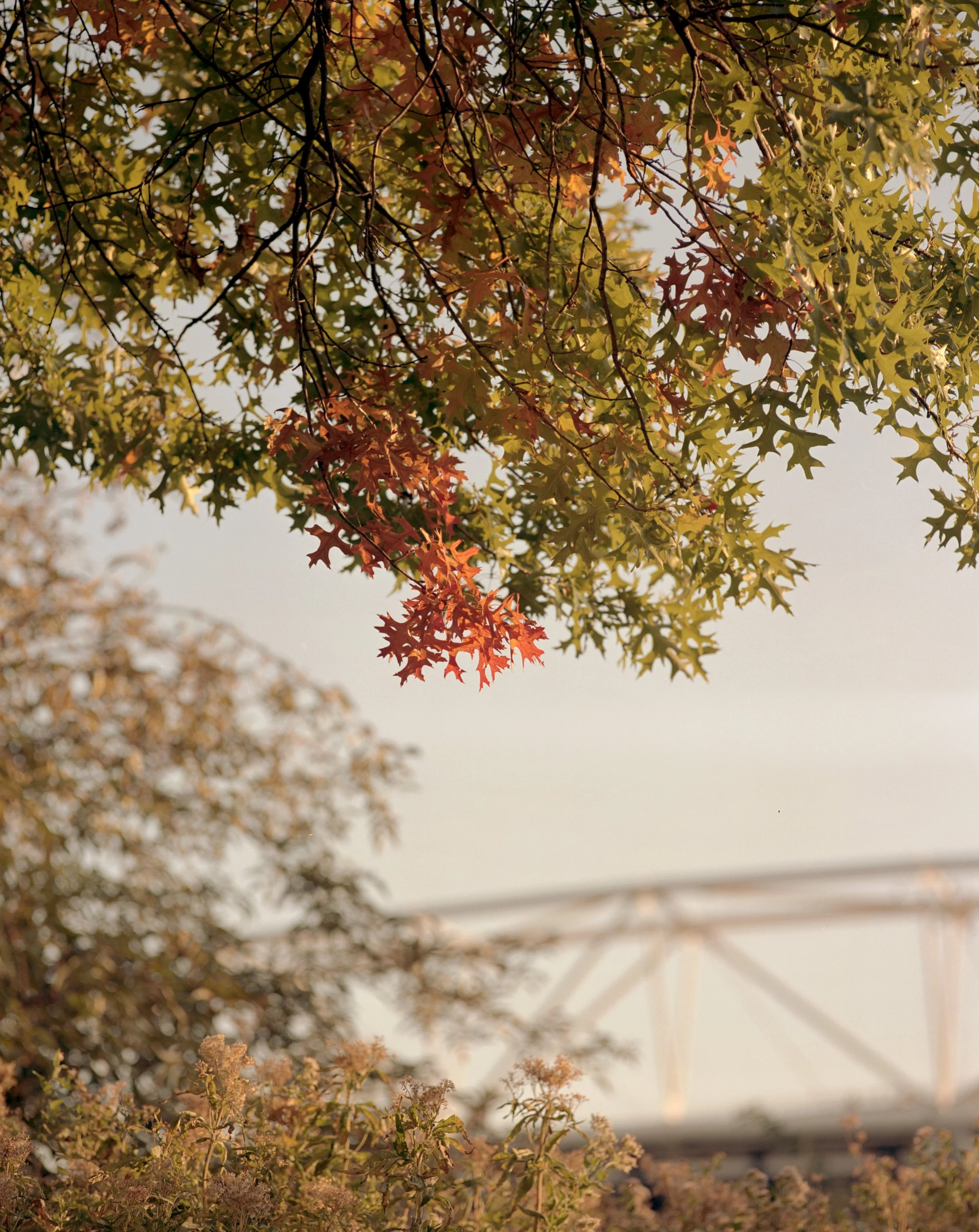 East Bank, Stratford