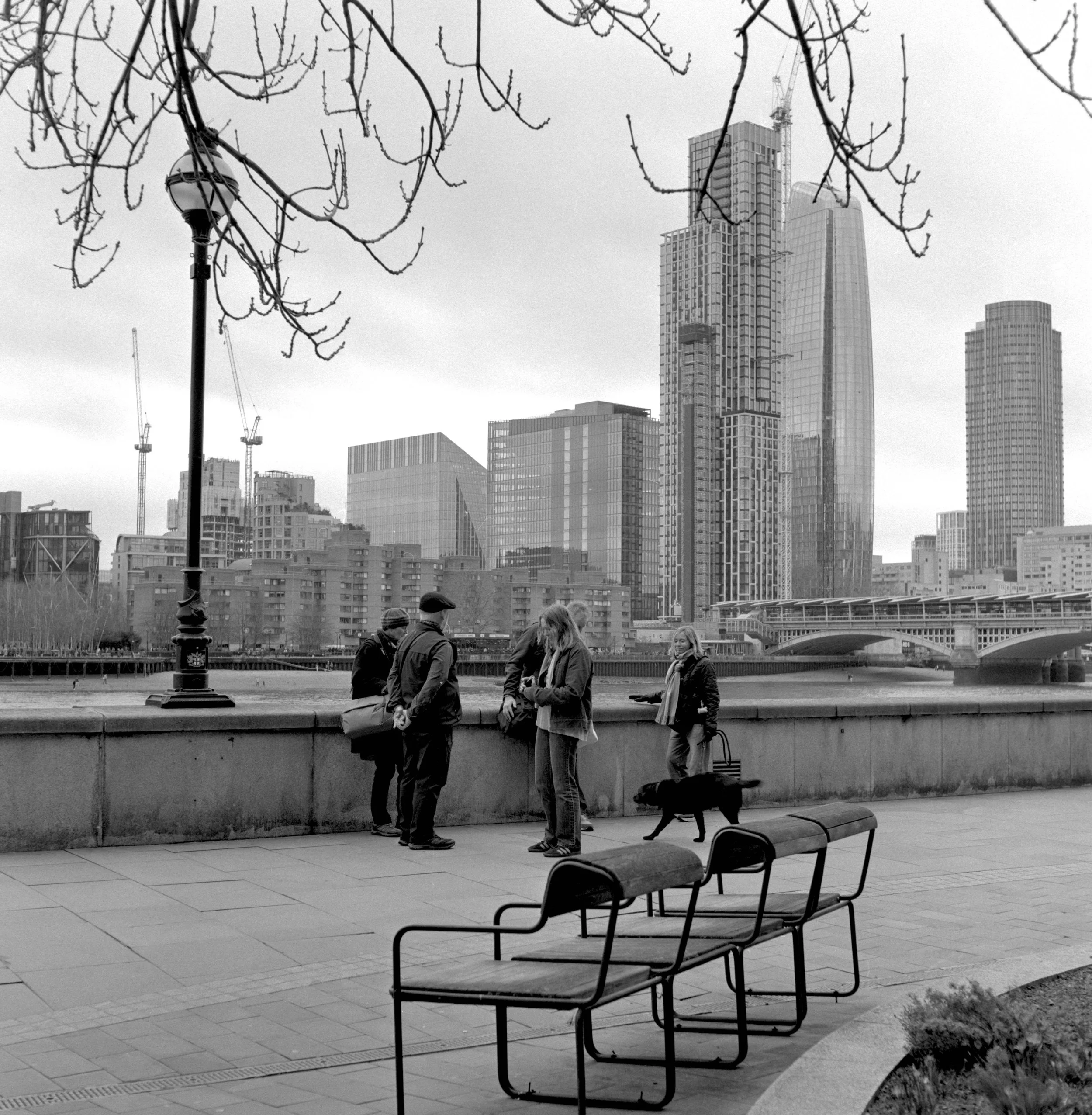  Urban Portrait Pod, Feb 26  © Felix Hall Close 