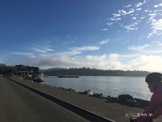 leslylyn09062016_3.png