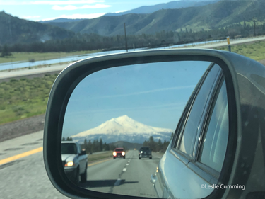 LCumming_004032019_1.png