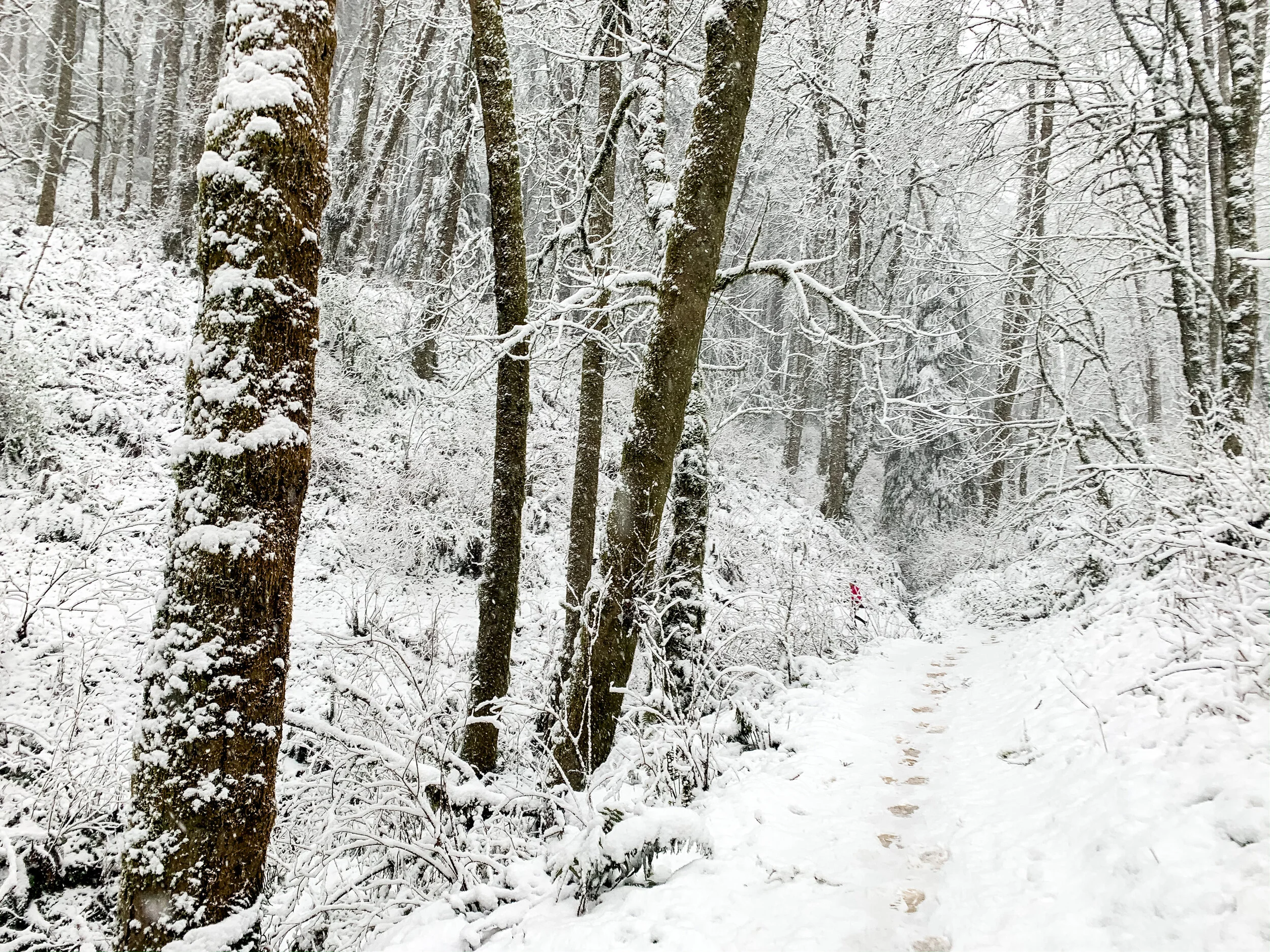 Communications in Times of Uncertainty