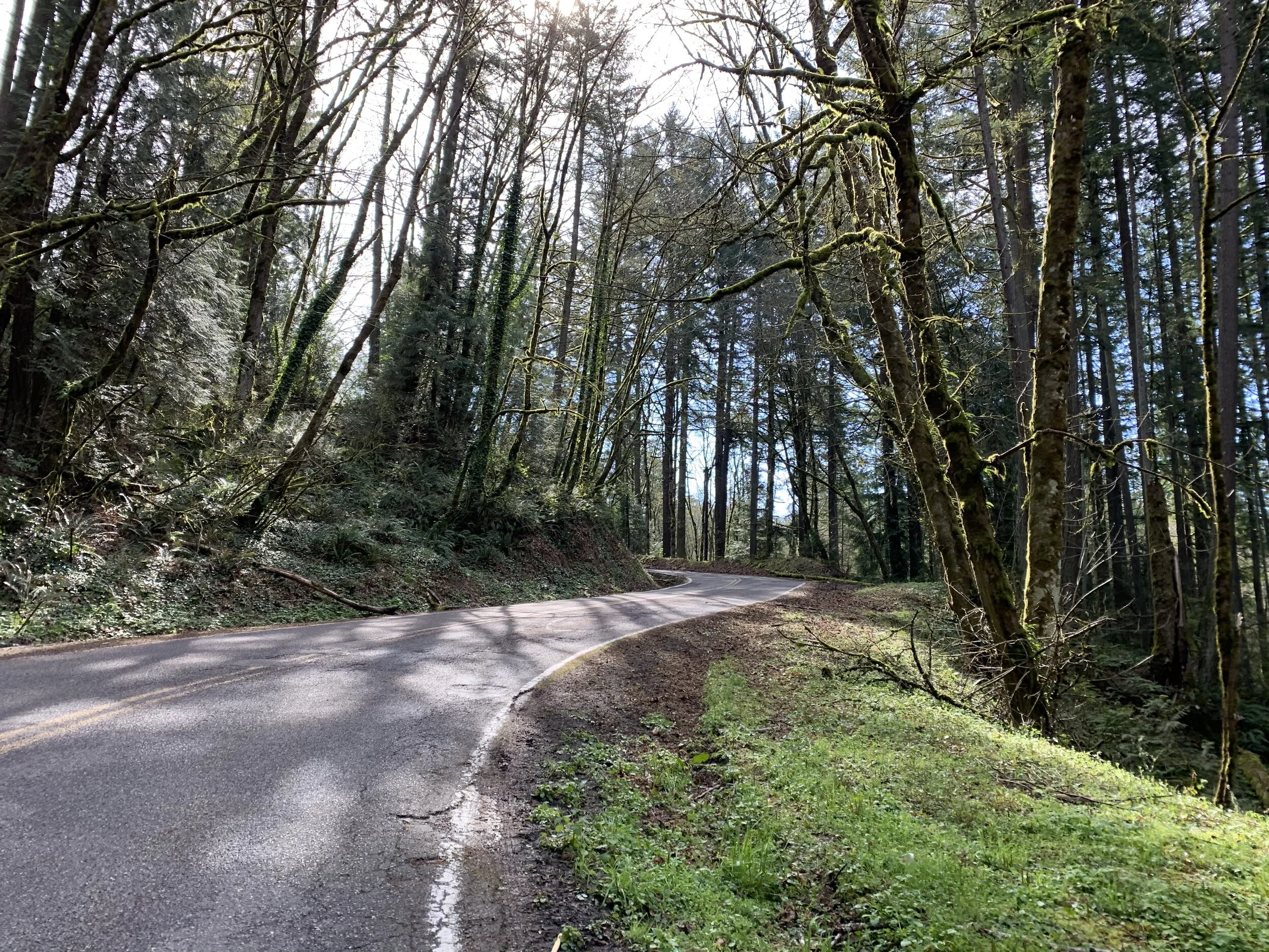 Pause. Rest. Rejuvinate.