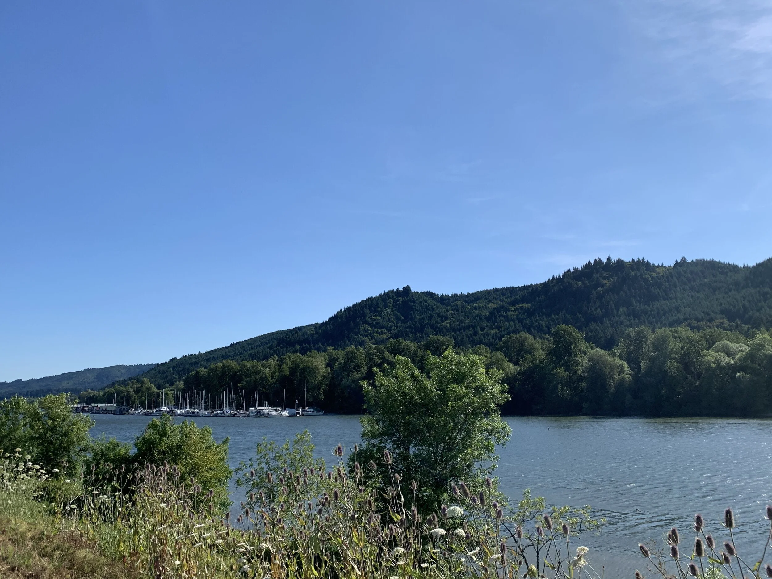 Visibility &amp; Playing Big