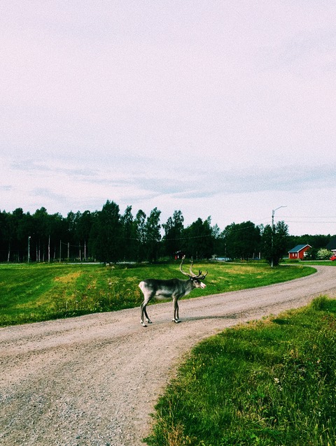 Joakim listens while walking in Kalix, Sweden, not far from the Arctic Circle.