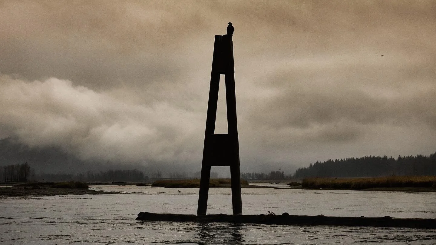 Catching moments. Together with unforgettable people. That&rsquo;s what it&rsquo;s all about. Thanks @myflyshop and @bentleys_fishing_adventures for a lovely day on the Fraser🙏. @locwaders #waderslikenoother #steelhead #thefraser
