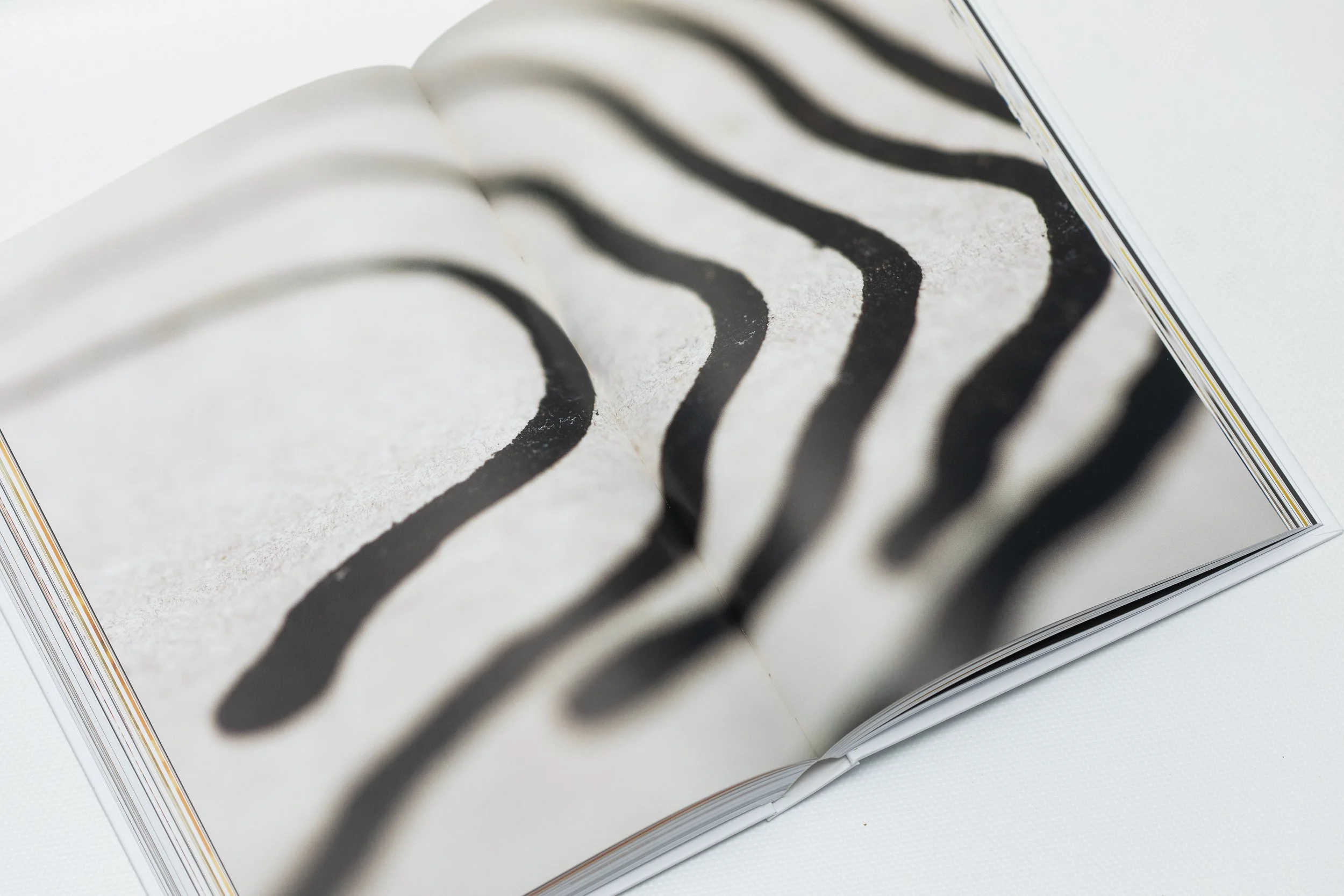 Henry van de velde - 10.JPG