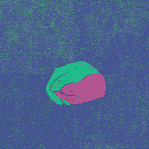 5.gif