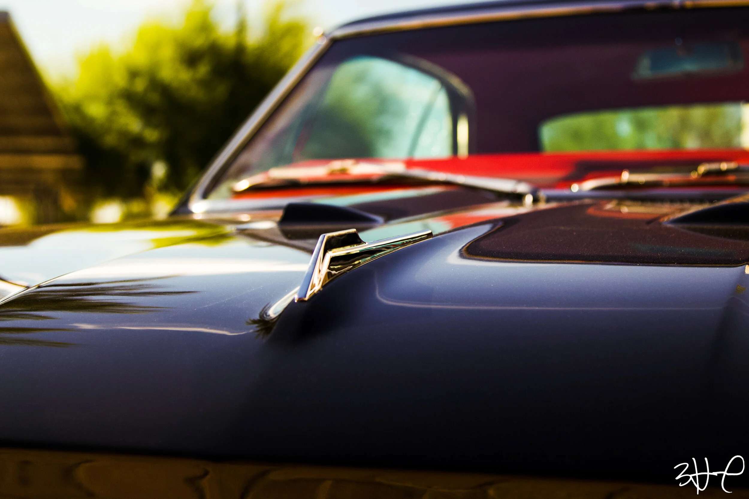 Chevelle_SS_Hood_Ornament.jpg