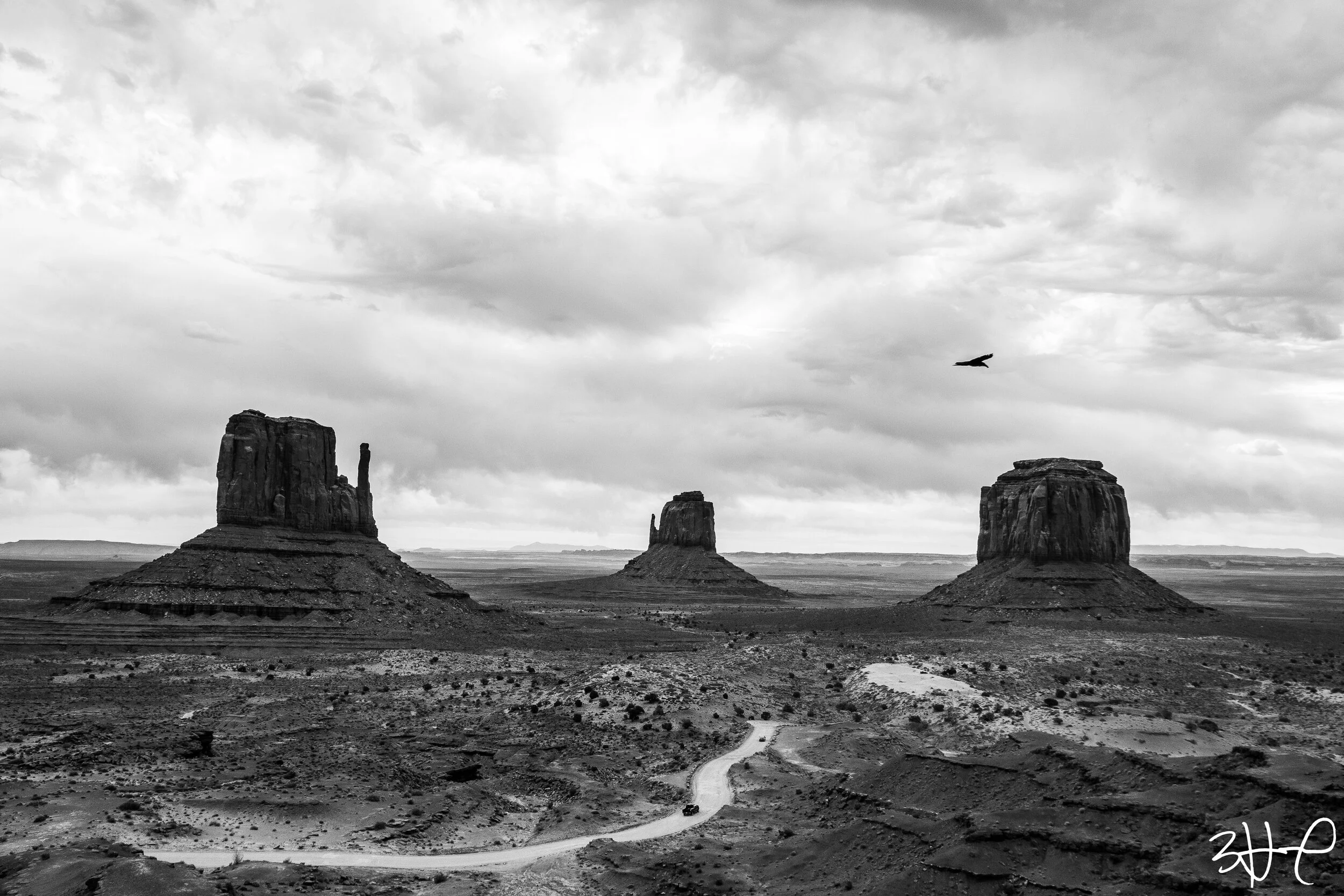 IMG_3205.jpg