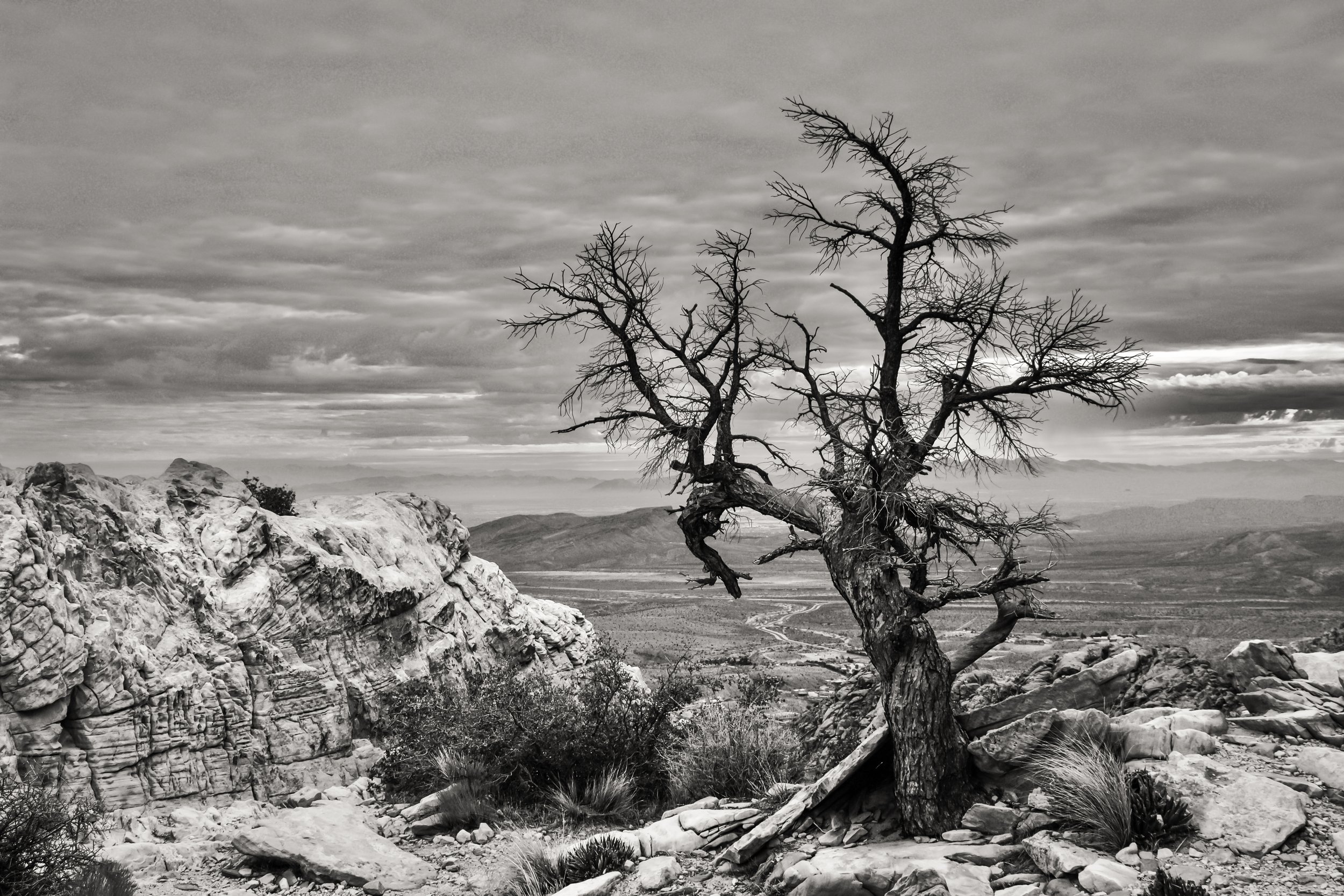 southwest_prints-1.jpg