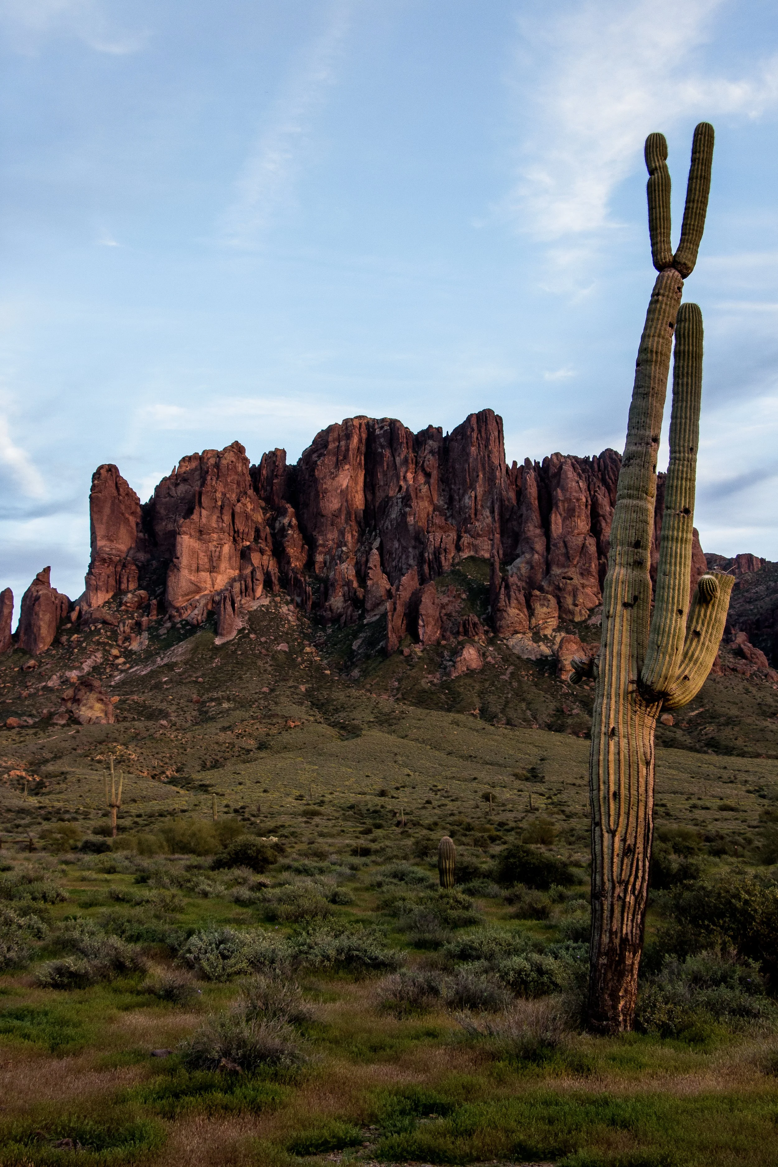 southwest_prints-4.jpg
