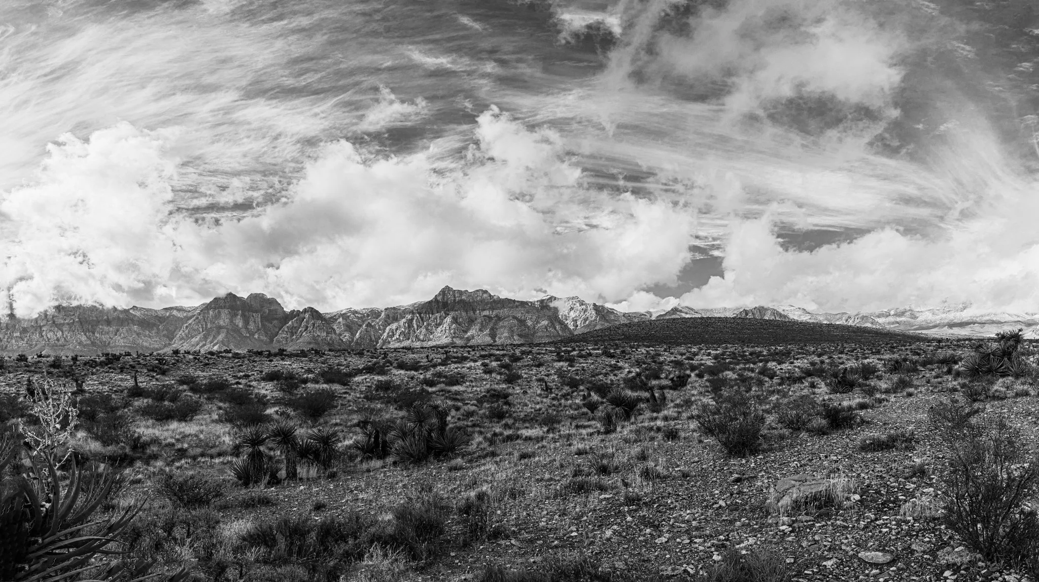 southwest_prints-13.jpg