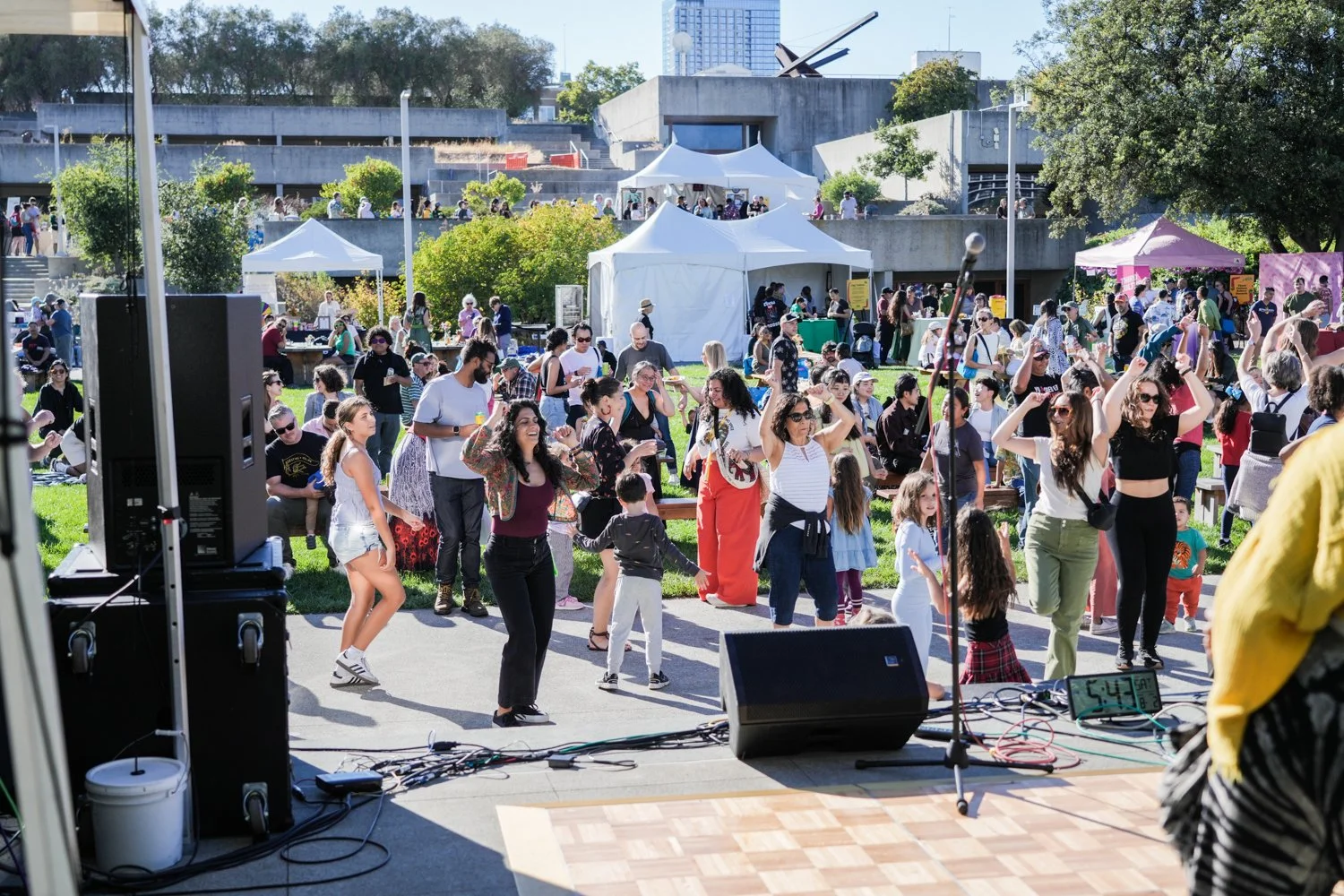 BBQ 2025 crowd dancing
