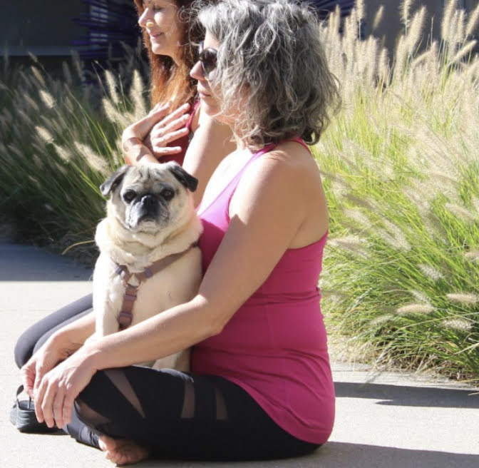 Landslide-October 2018