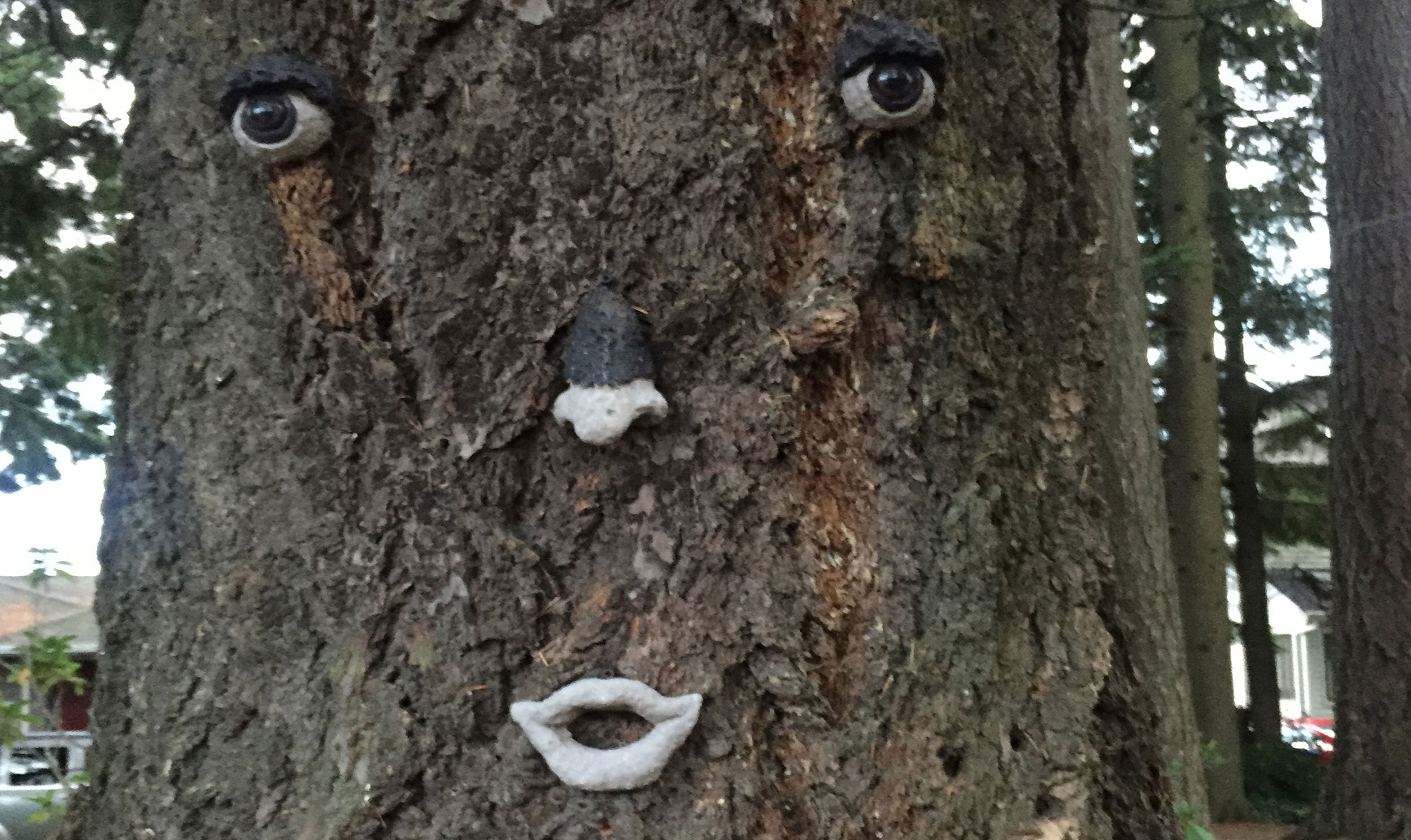  Sometimes I see faces in things. 