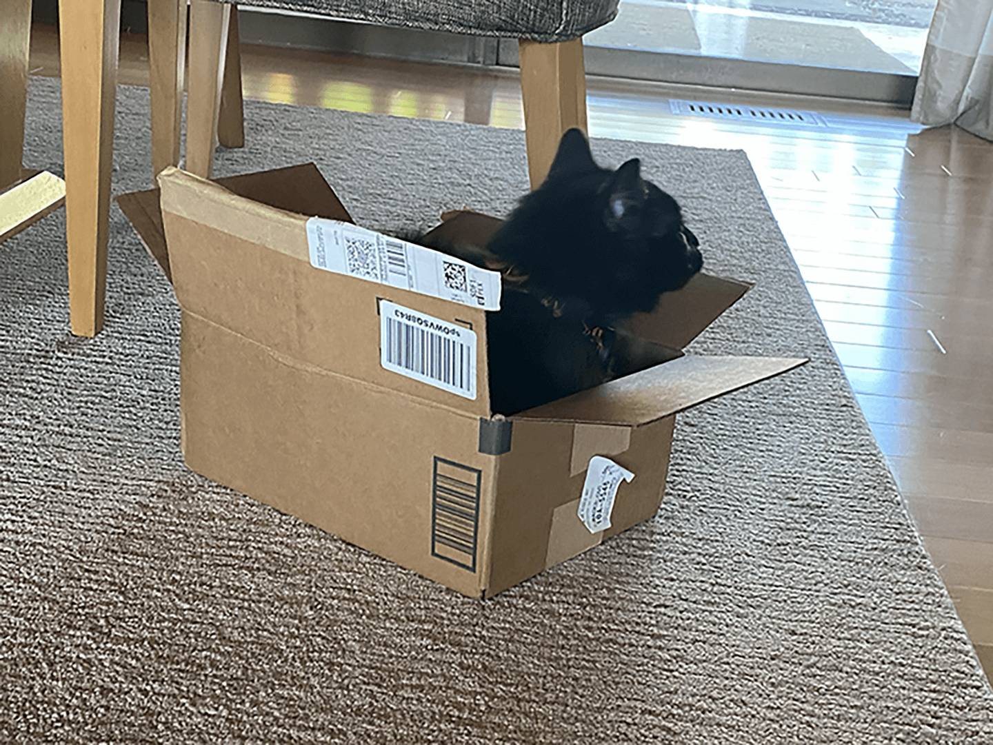  Charlie, thinking inside the box 