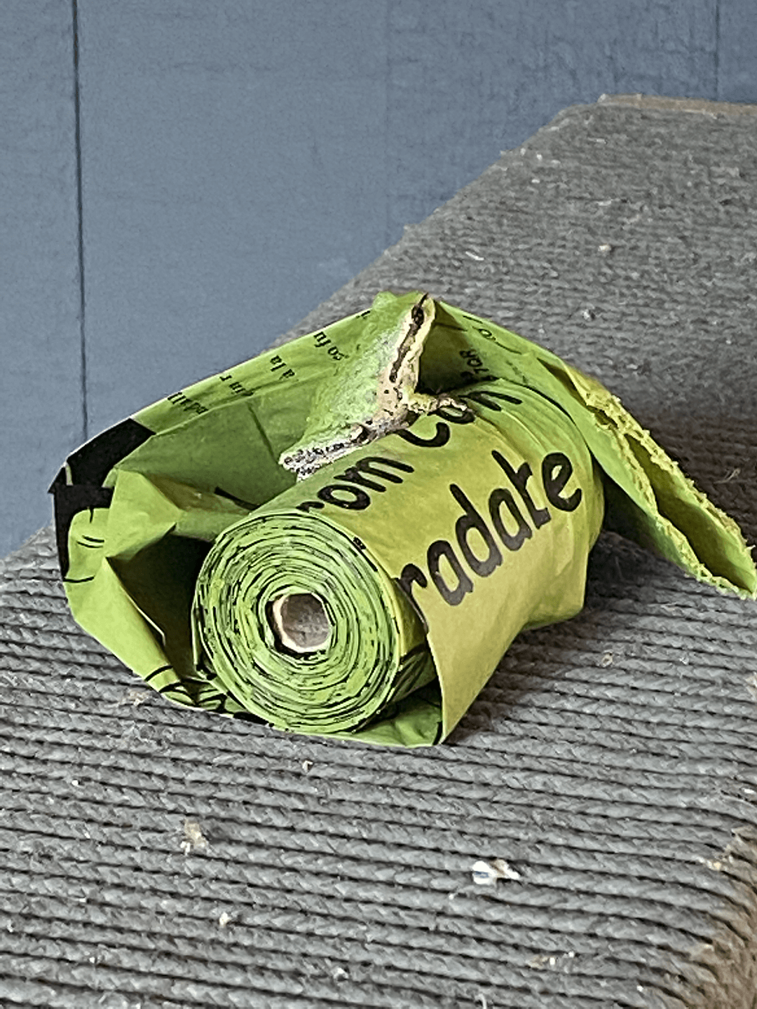  Before you pick something up in our yard, check to see if there's a frog on it. 