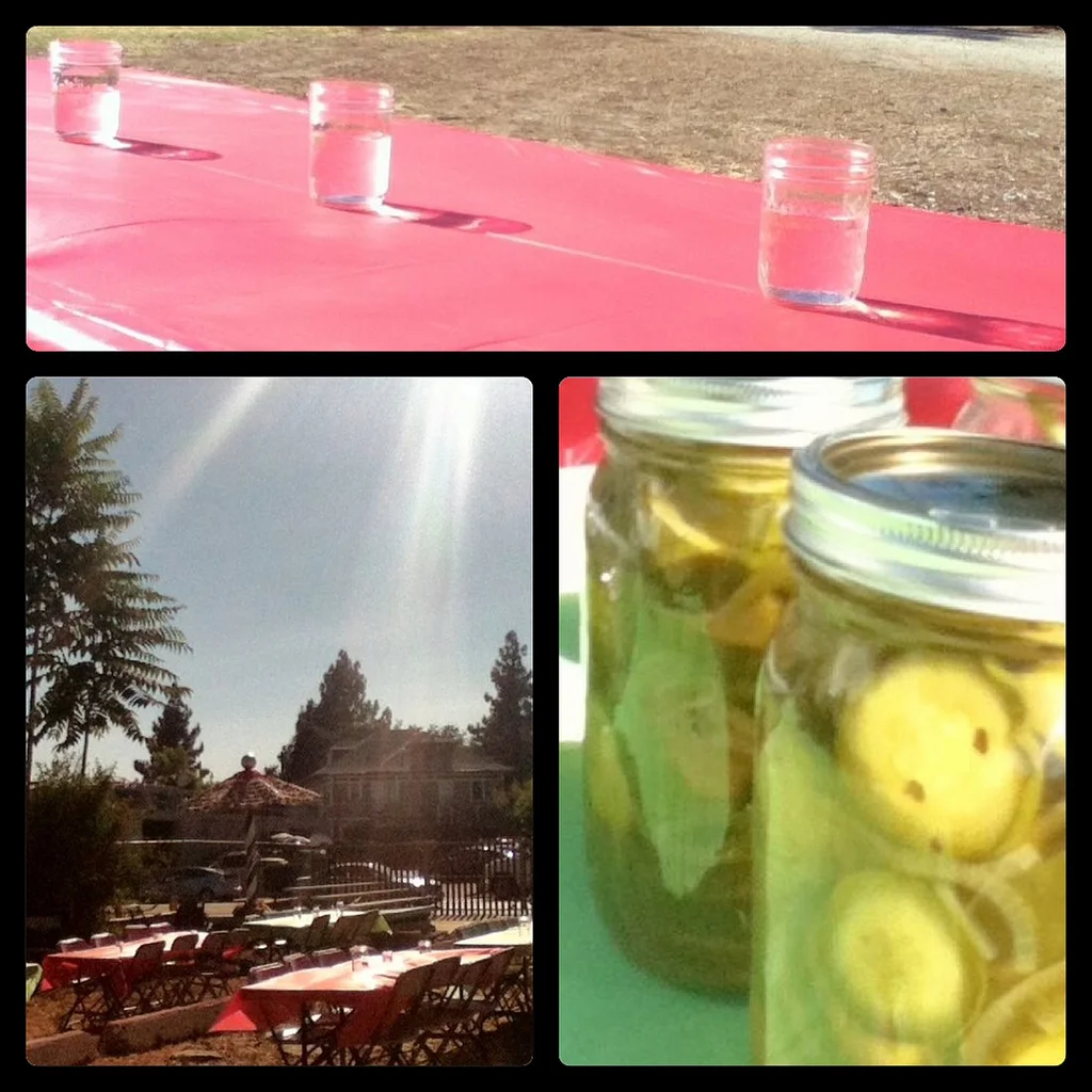 scpp full moon pickles_8032015605_l.jpg