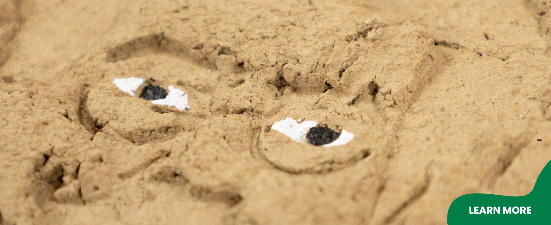 Phantom Ball: Artist Editions