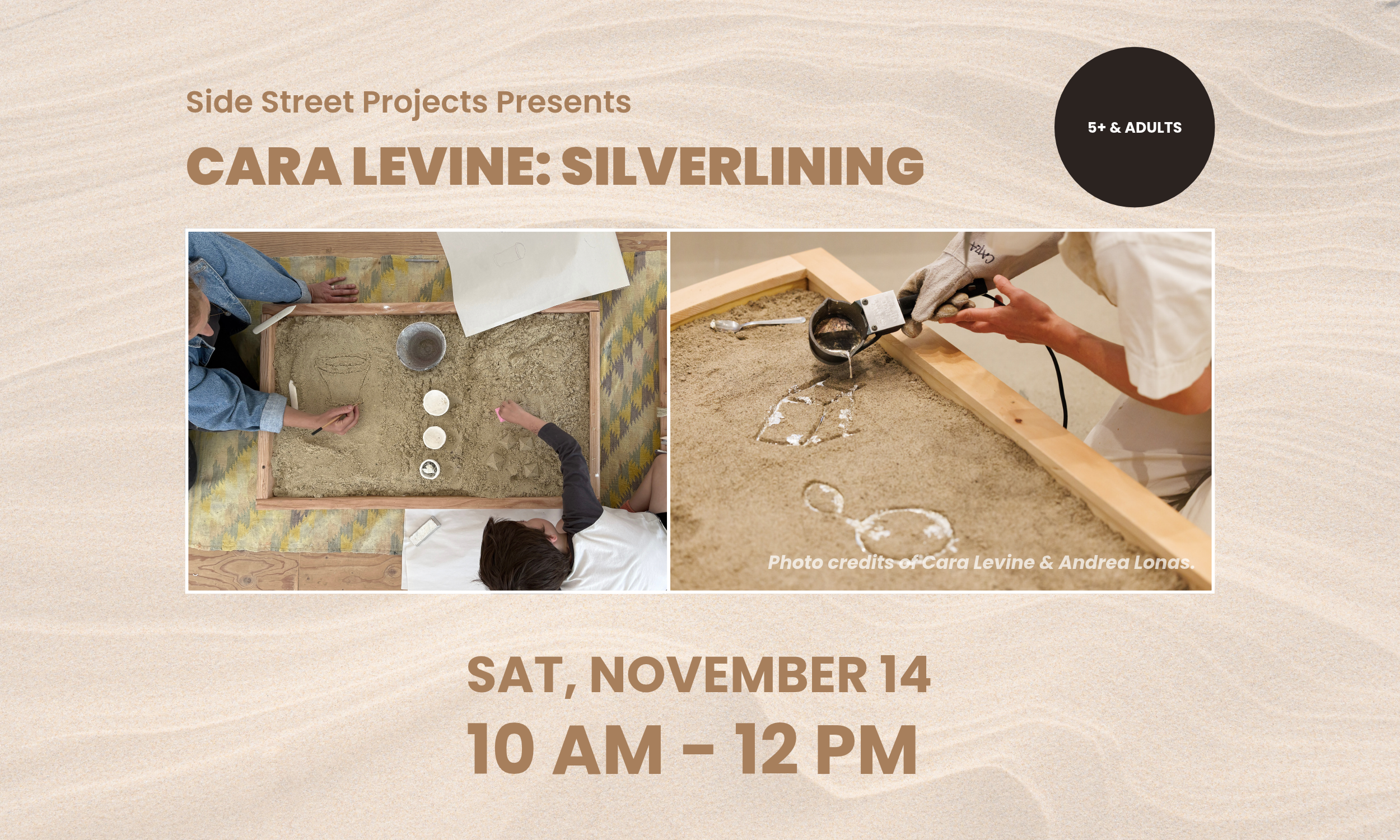Cara Levine: Silverlinings, Saturday, November 14, 10 am - 12 pm