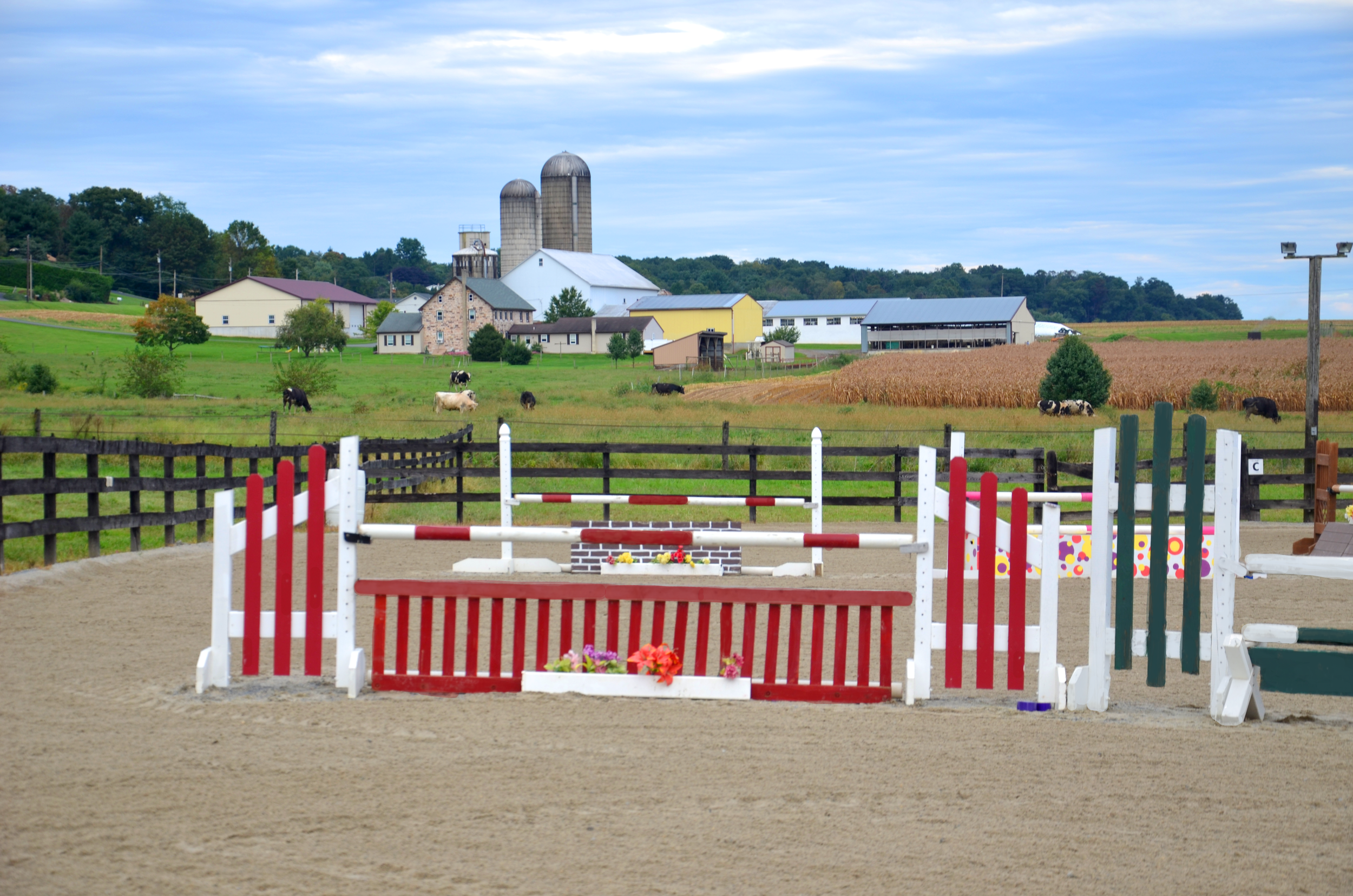 red fences.png