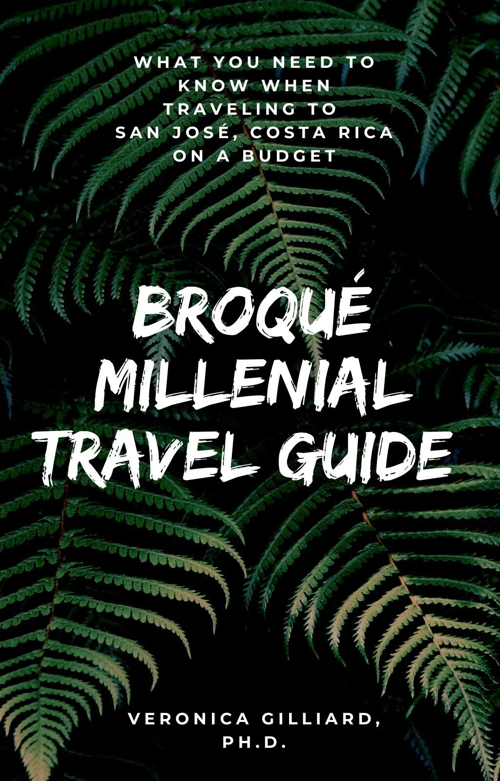 Travel Guides See The World On A Budget
