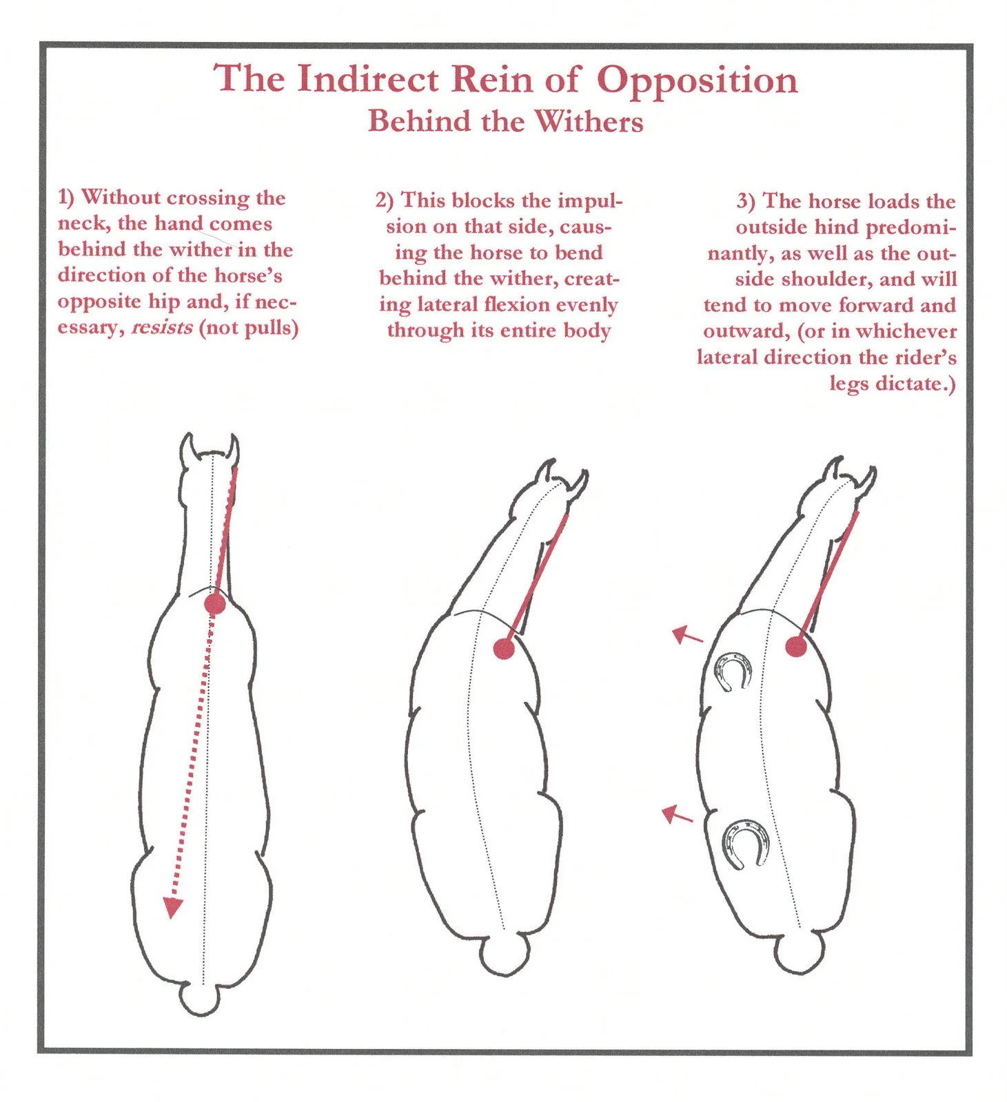 indirect-behind.jpg