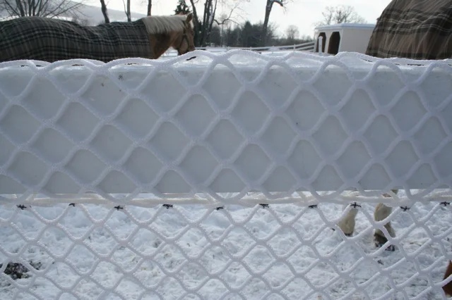 haynetfence1.jpg