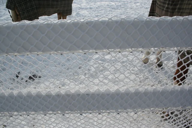 haynetfence2.jpg
