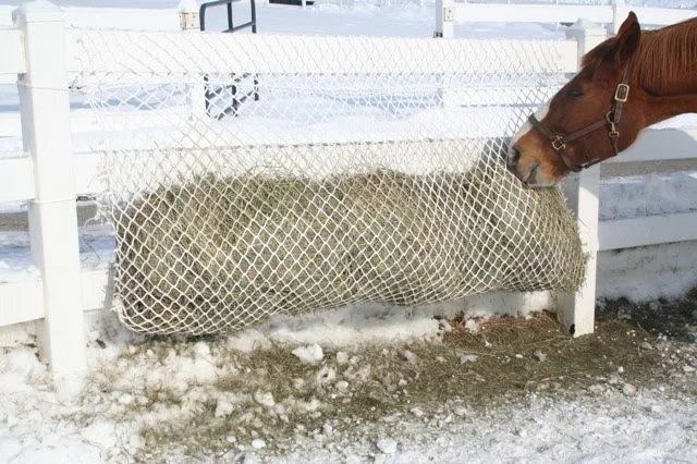 haynetfence4.jpg