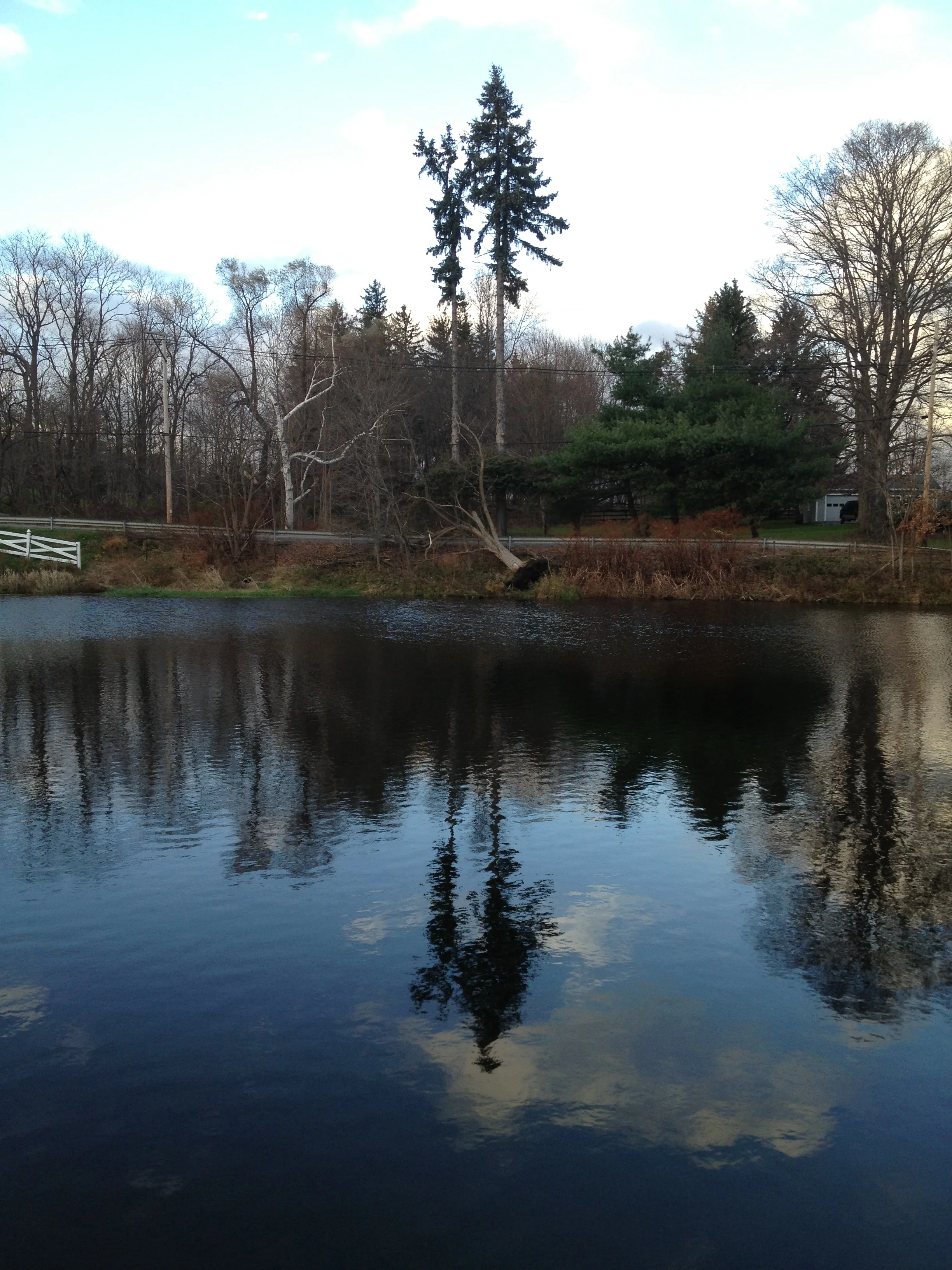 IMG_0170.JPG