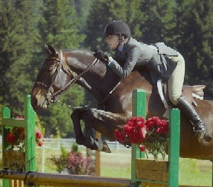 horse jump5.png