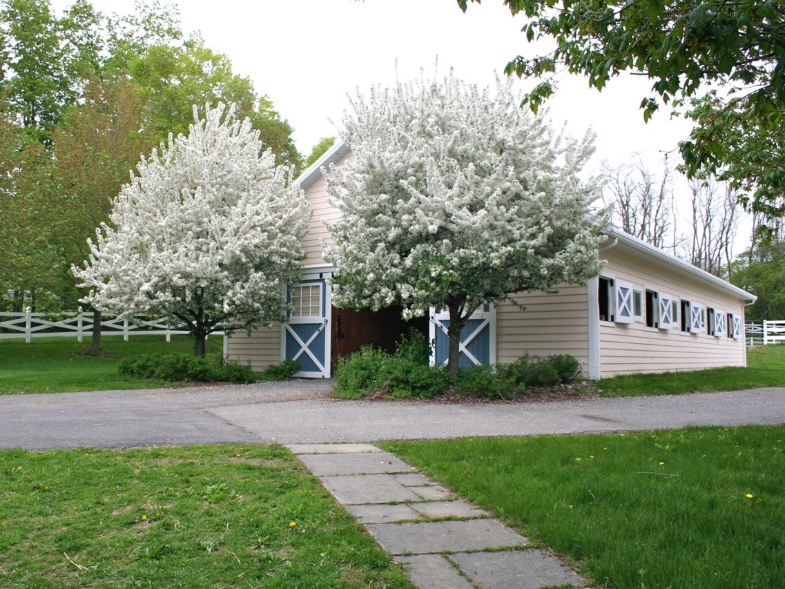 barnsidecherries.jpg
