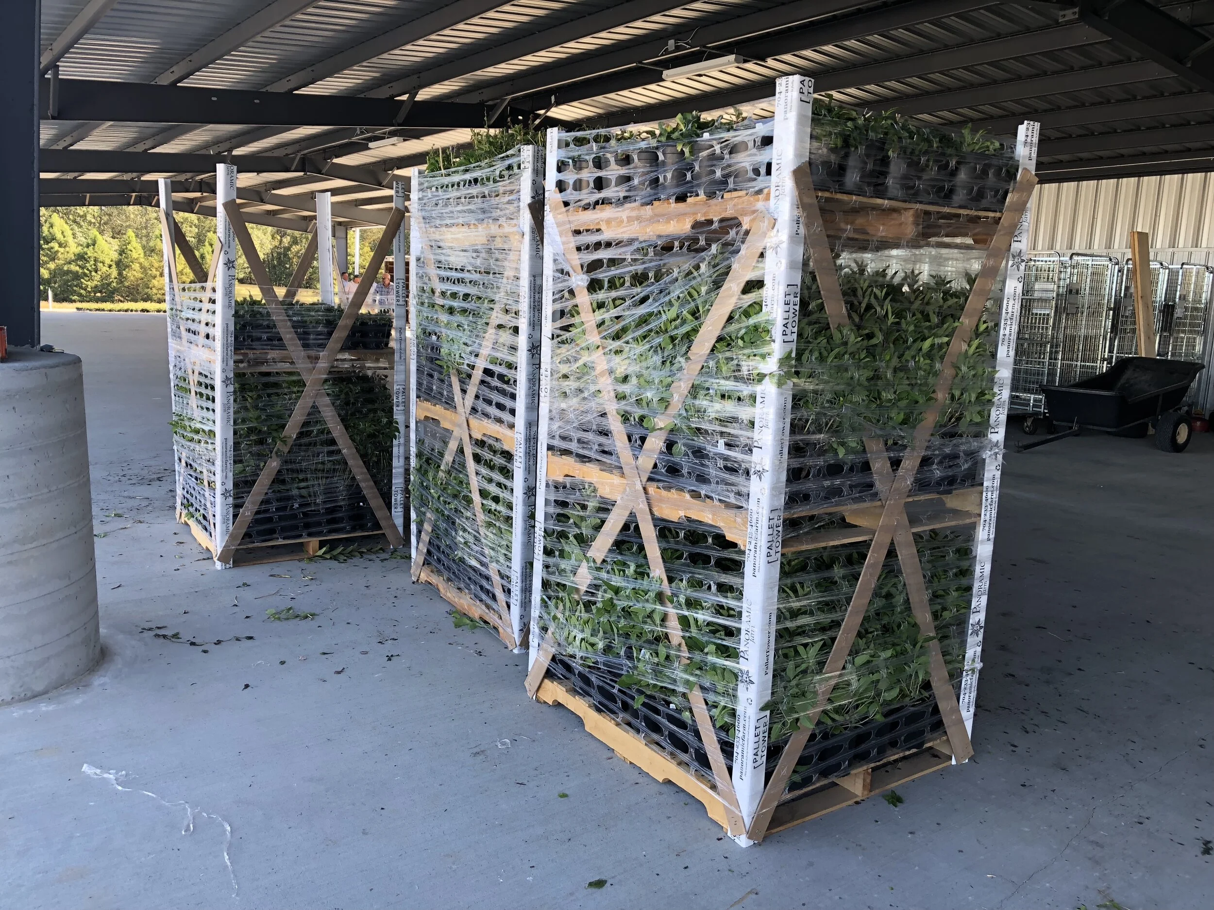 Gallery — Pallet Tower