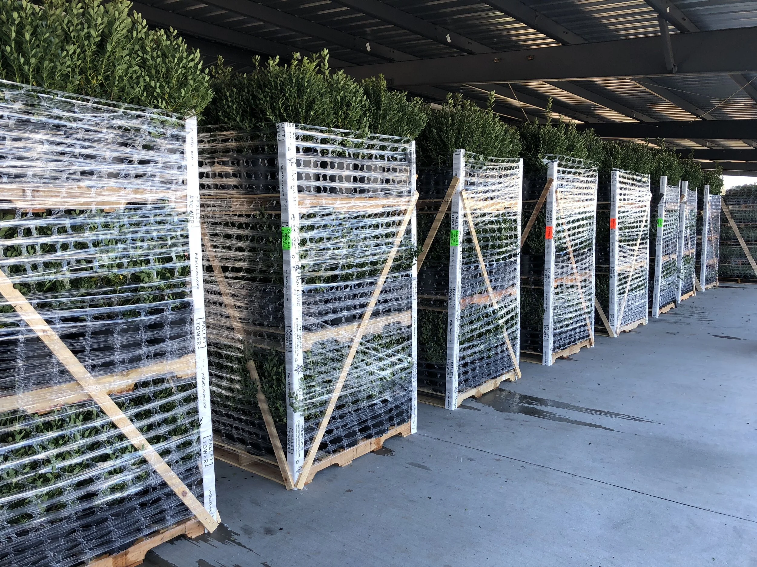 Gallery — Pallet Tower