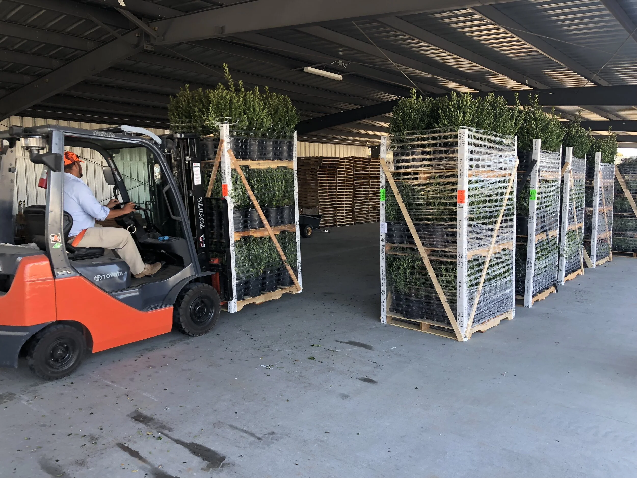 Gallery — Pallet Tower