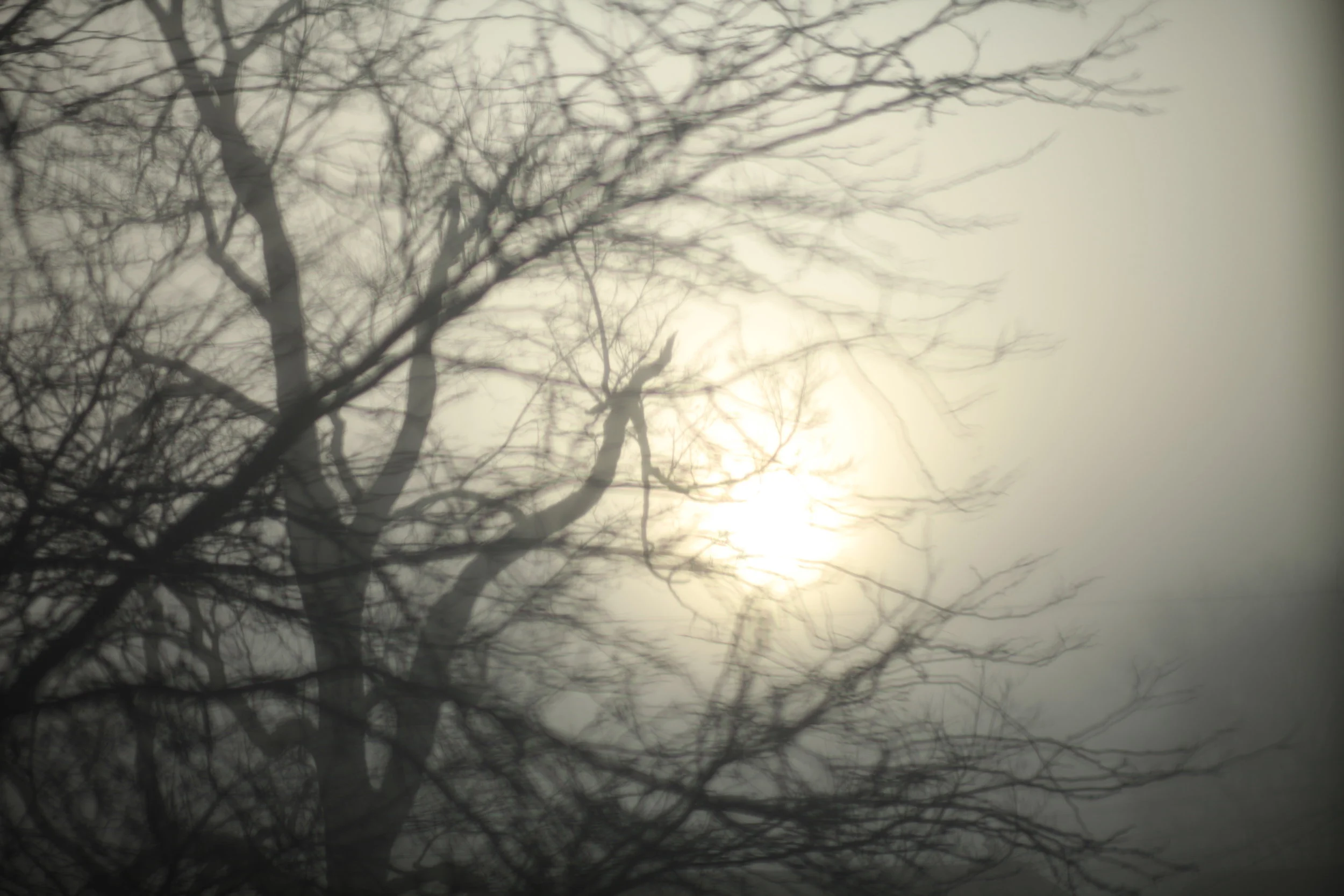 At Times There Were Fires,