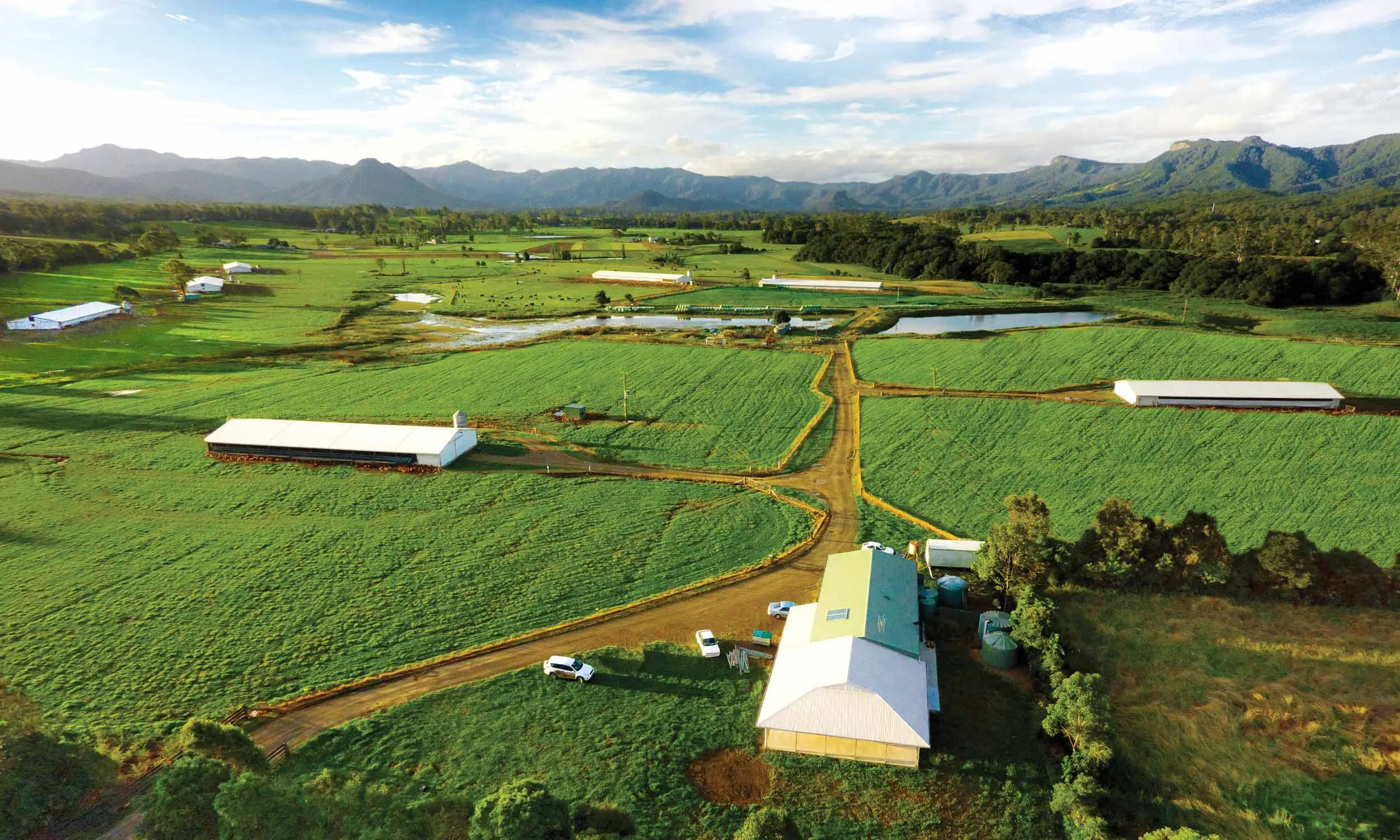 sustainable-farming-manning-valley-free-range.jpg