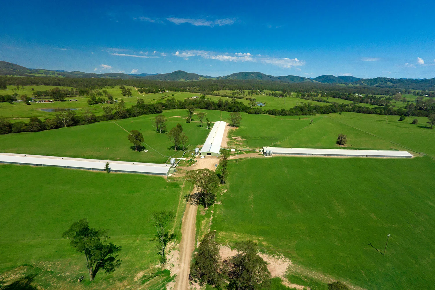 Aerial photo of Cedar Party
