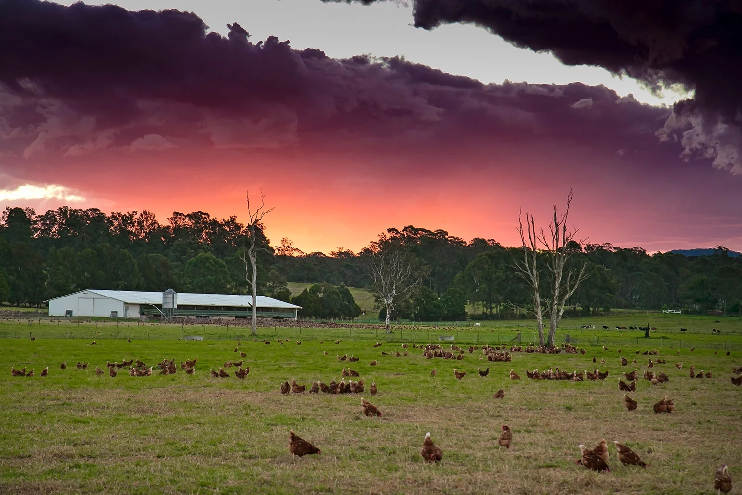 Beautiful sunset at dusk