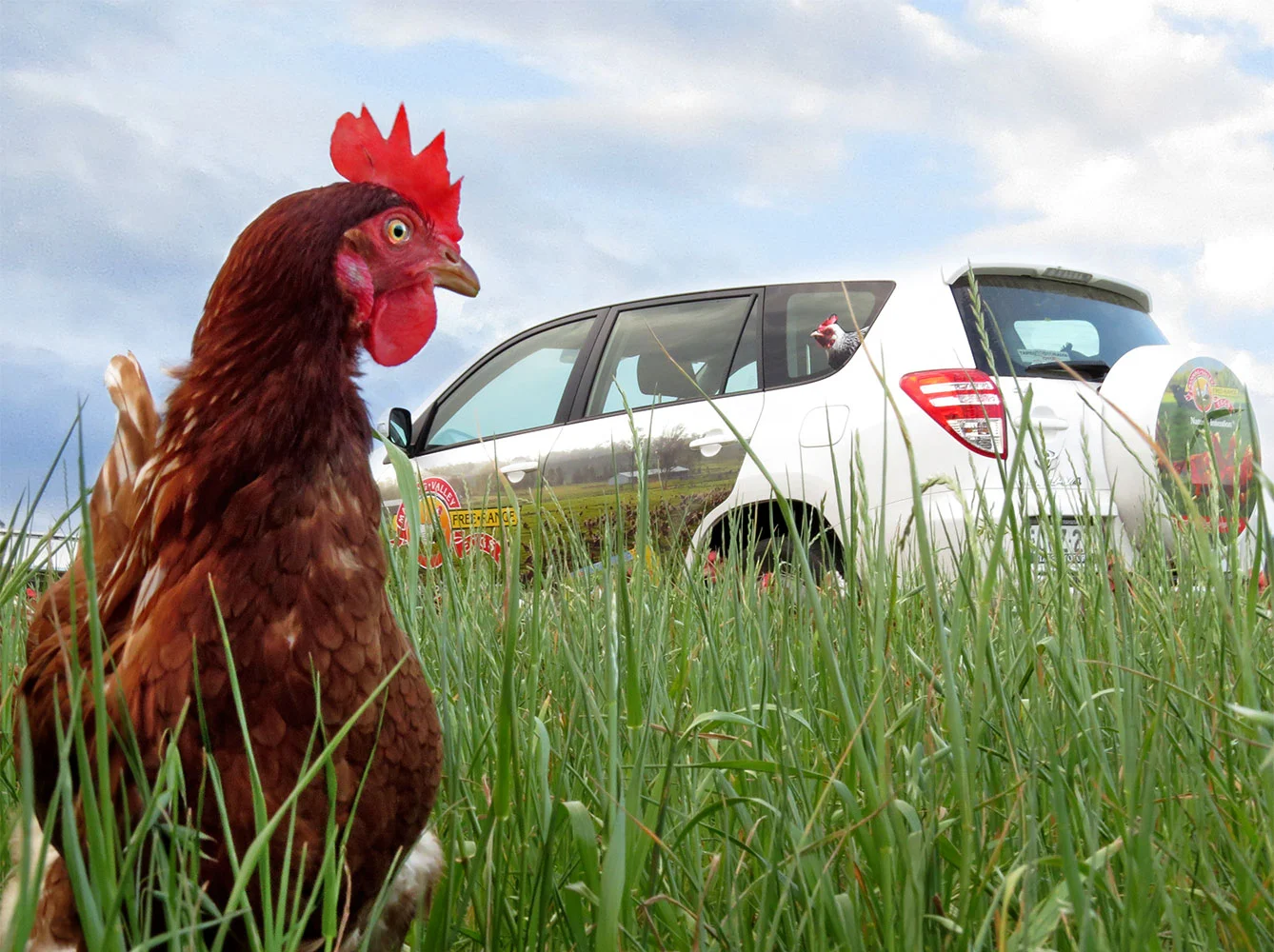 "How did you get in there?"