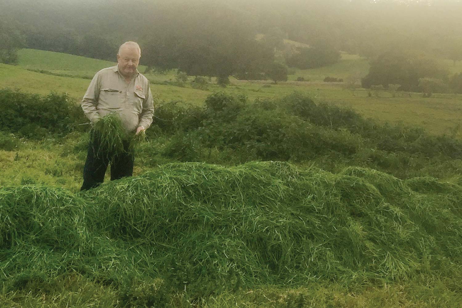 manning-valley-cut-grass.jpg